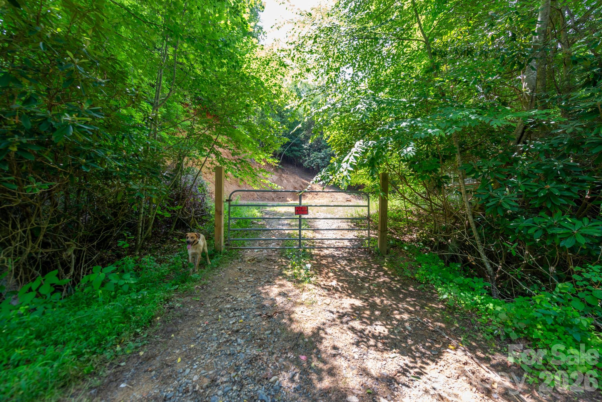 ### Board Tree Road 4 Property Photo 16