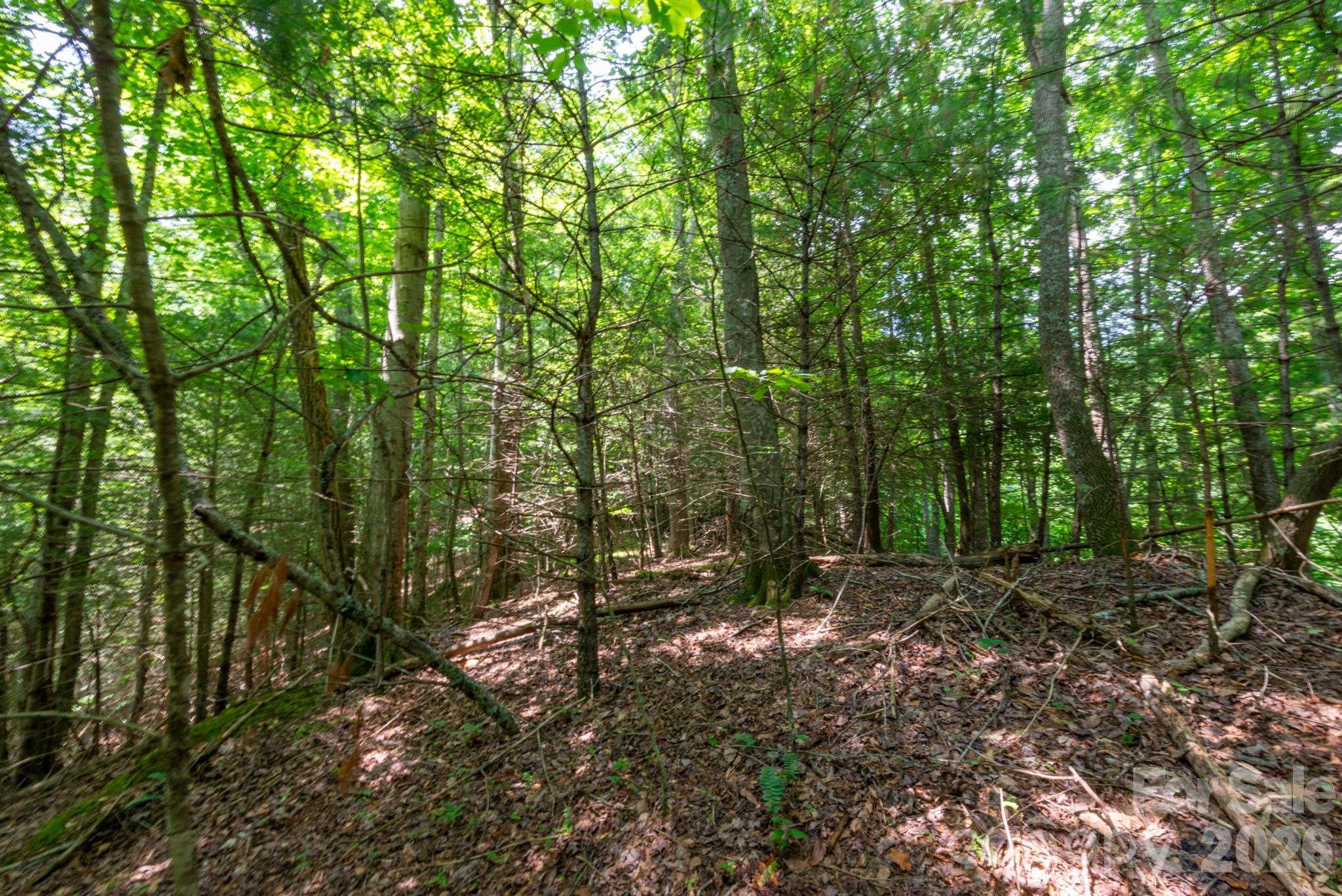 ### Board Tree Road 6 Property Photo 1