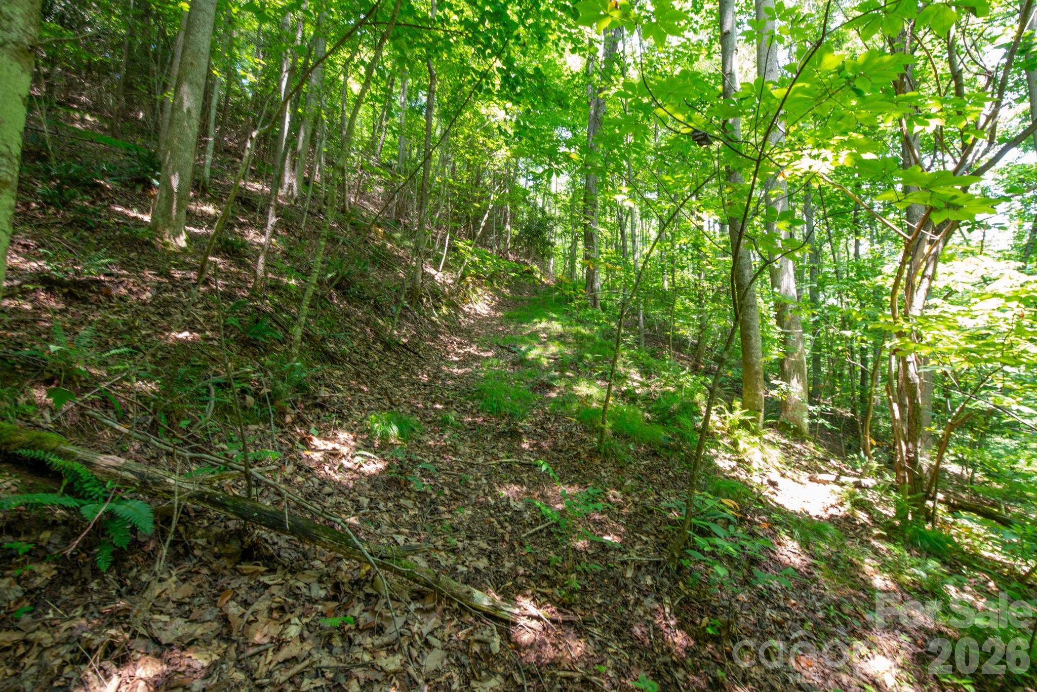 ### Board Tree Road 6 Property Photo 6
