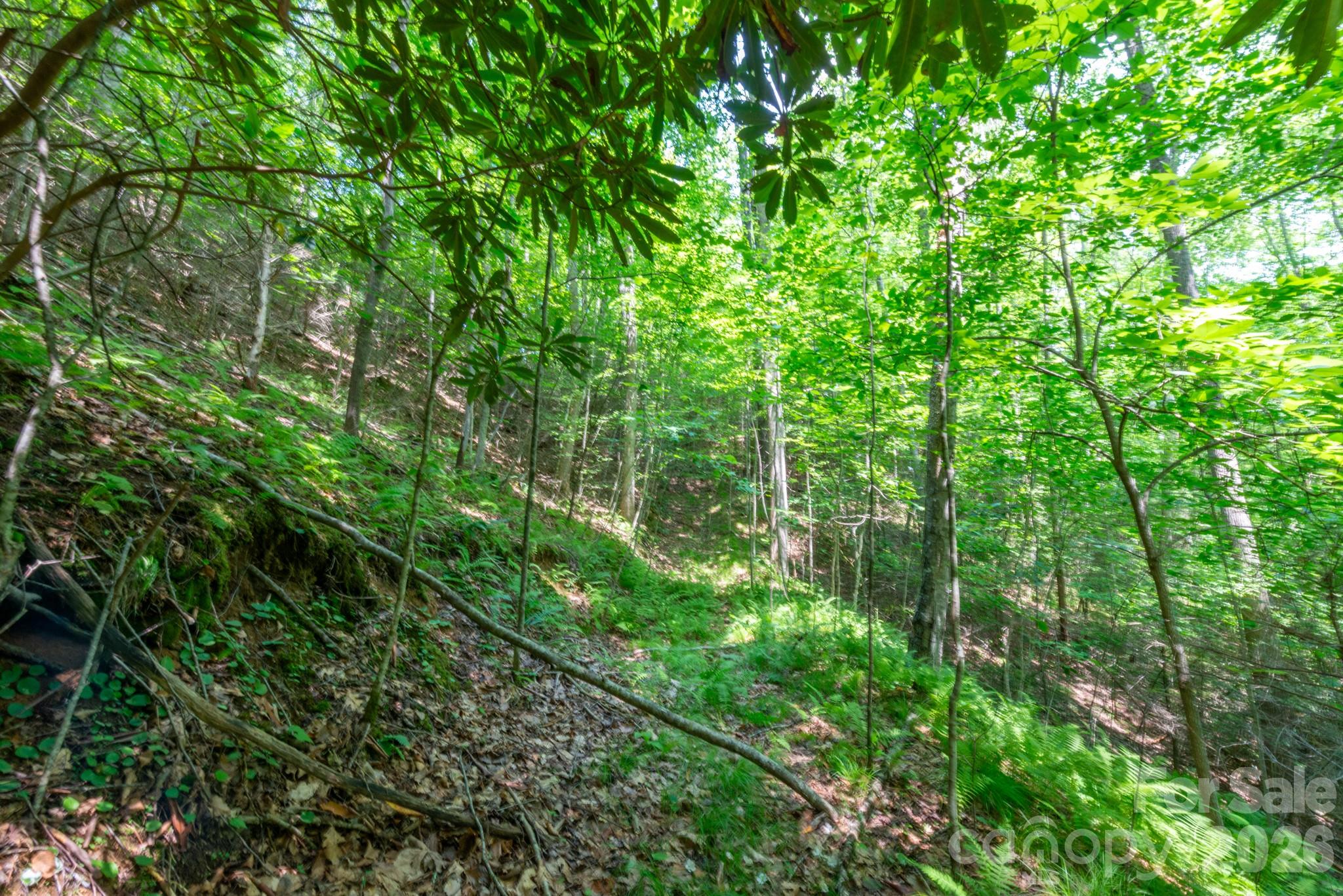 ### Board Tree Road 6 Property Photo 7
