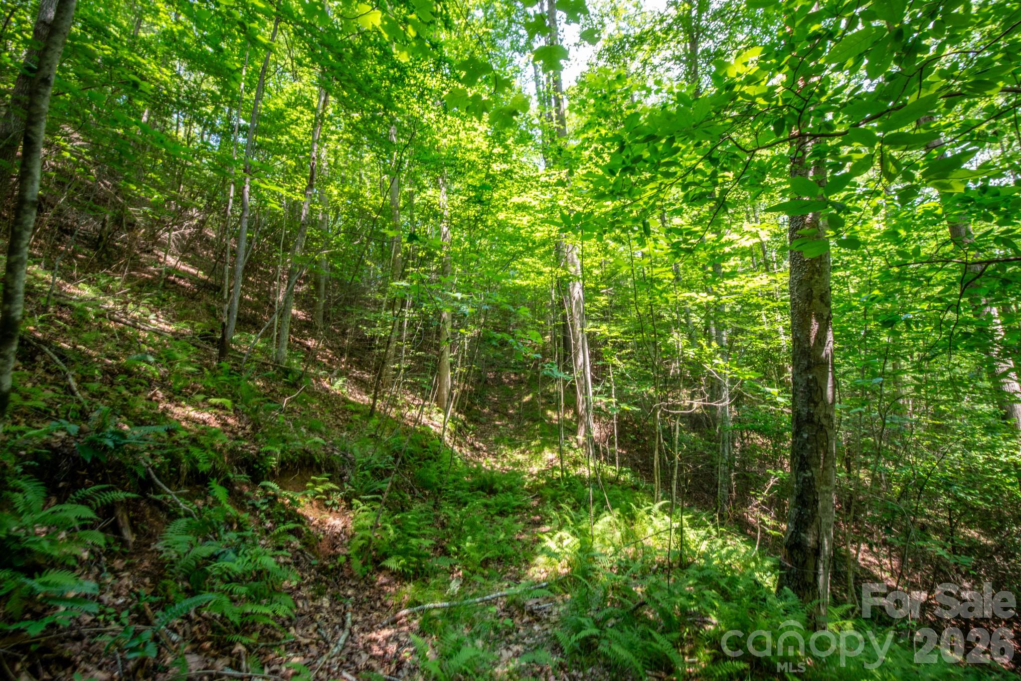 ### Board Tree Road 6 Property Photo 8
