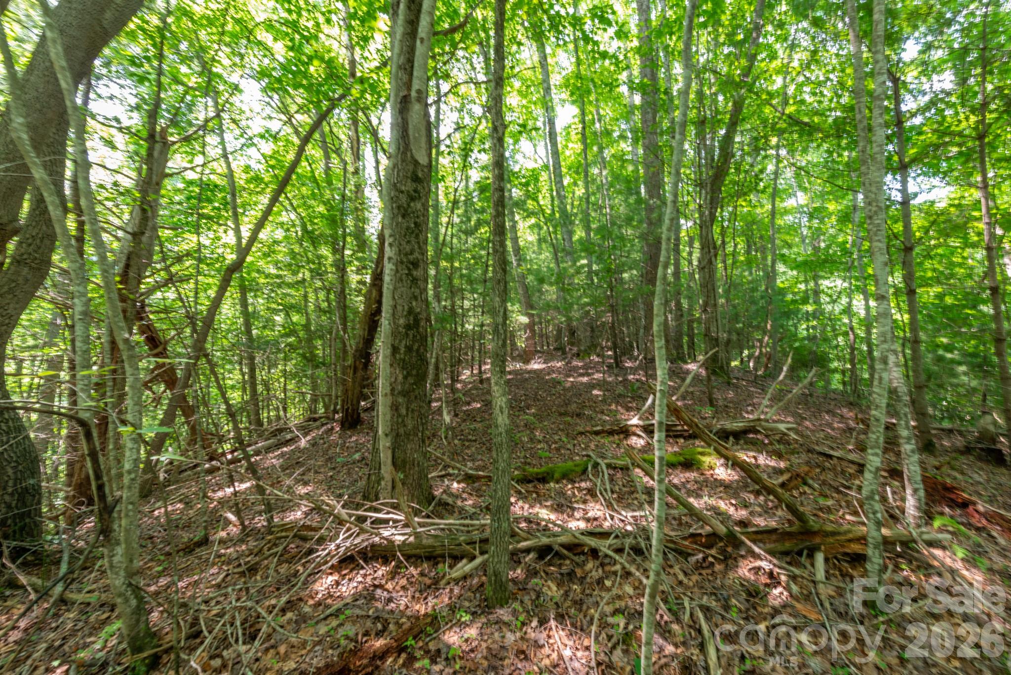 ### Board Tree Road 6 Property Photo 9