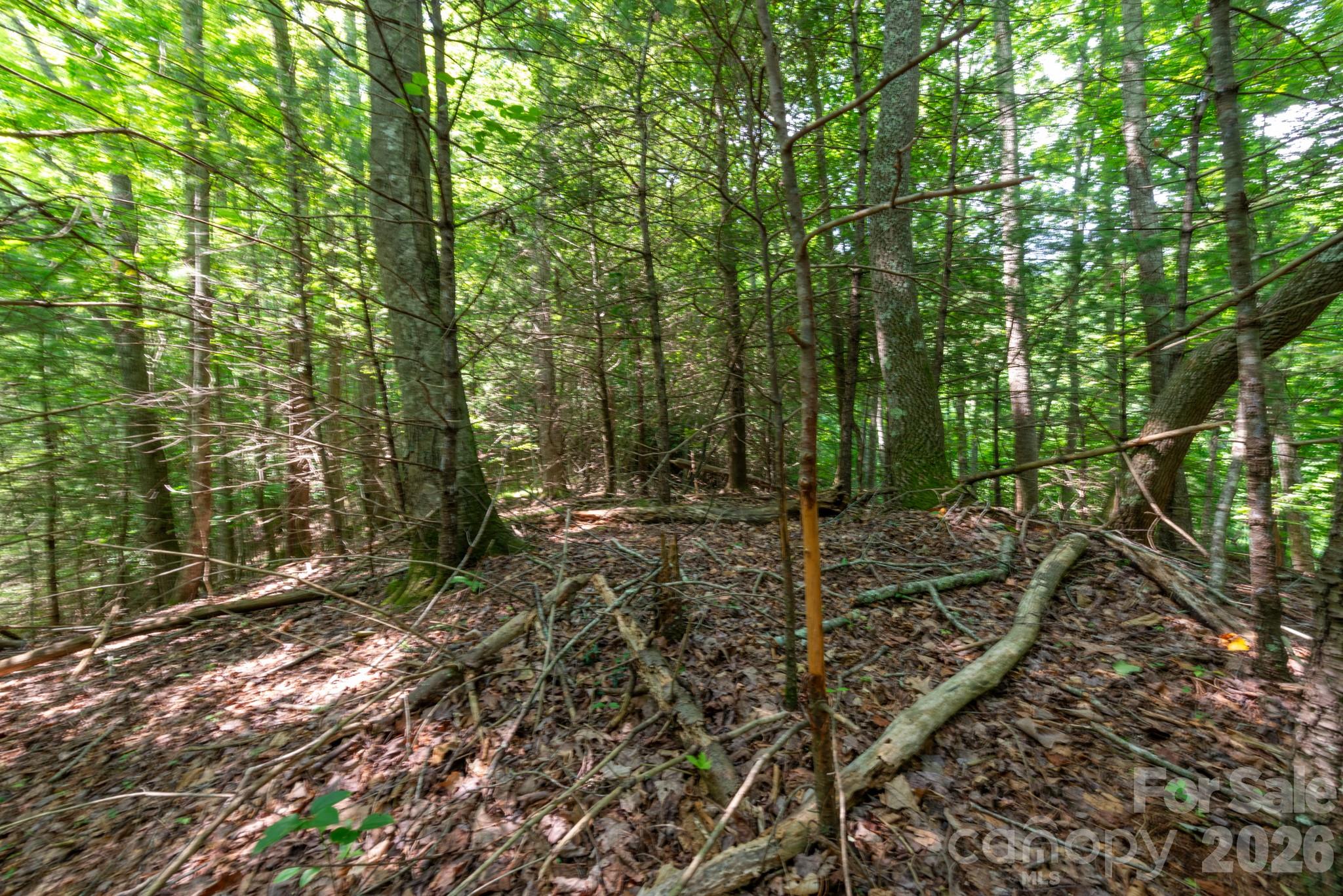 ### Board Tree Road 6 Property Photo 10
