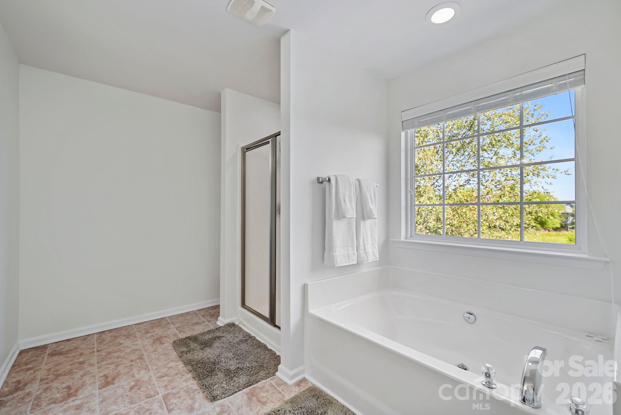 17319 Silas Place Drive Property Photo 22