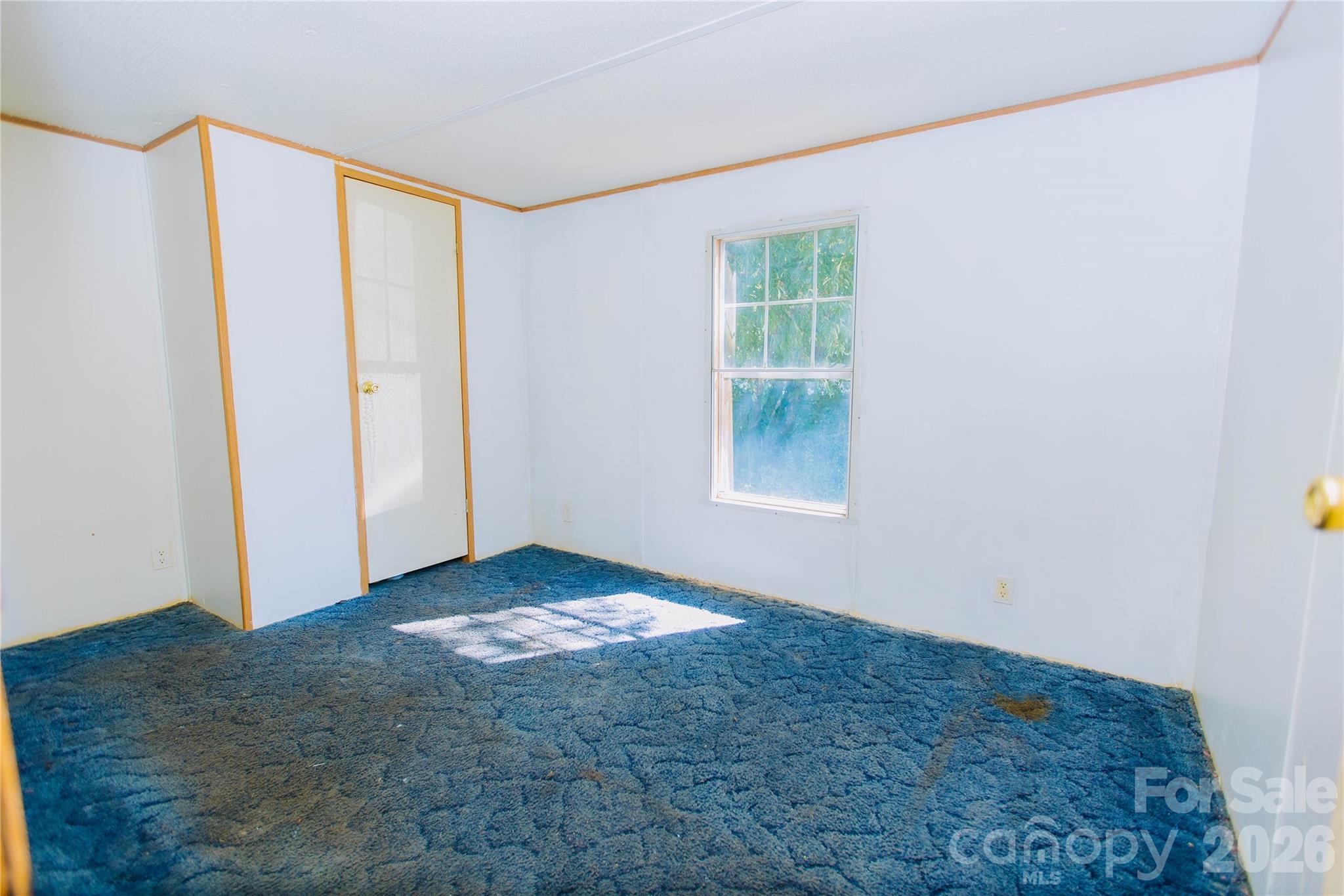 1341 Freedom Lane 23 Property Photo 9