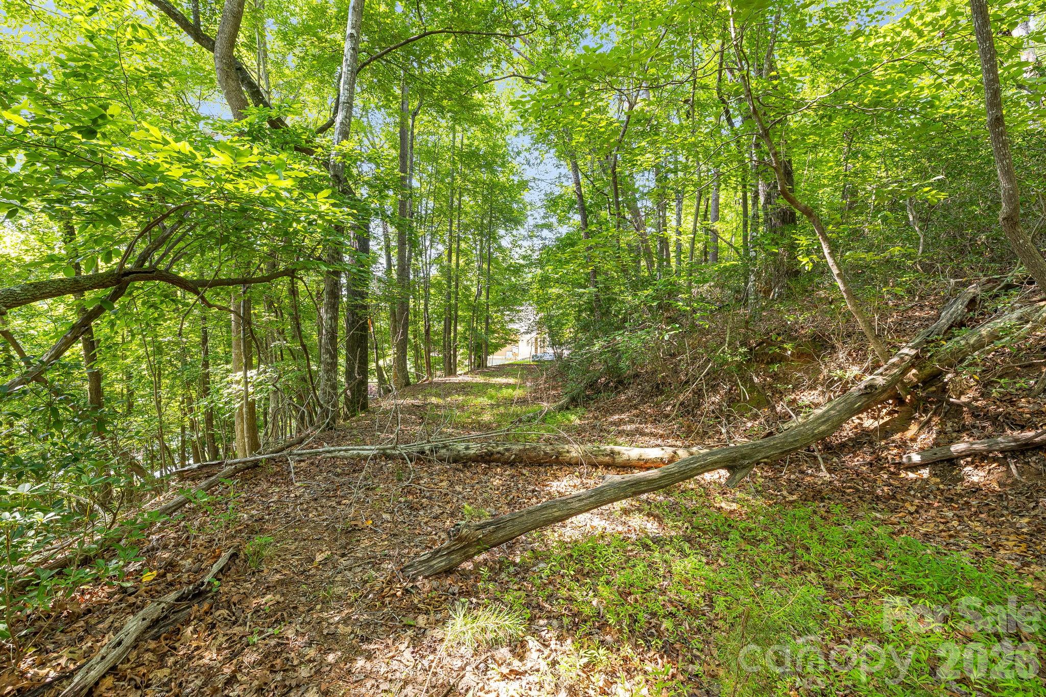 00 Canoe Drive 40 Property Photo 13