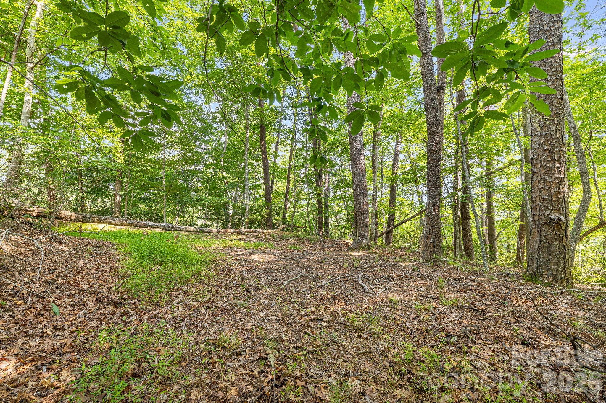 00 Canoe Drive 40 Property Photo 15