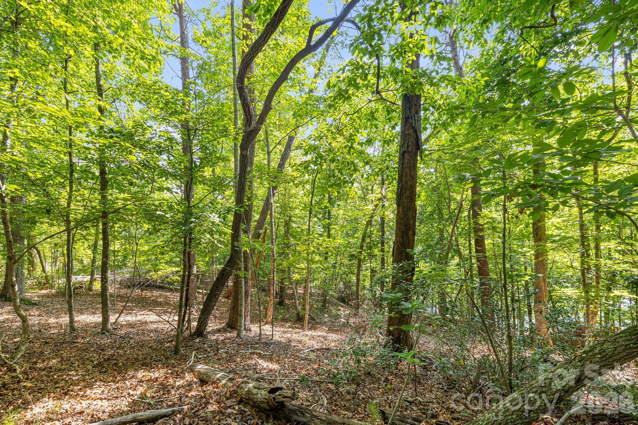 00 Canoe Drive 40 Property Photo 16