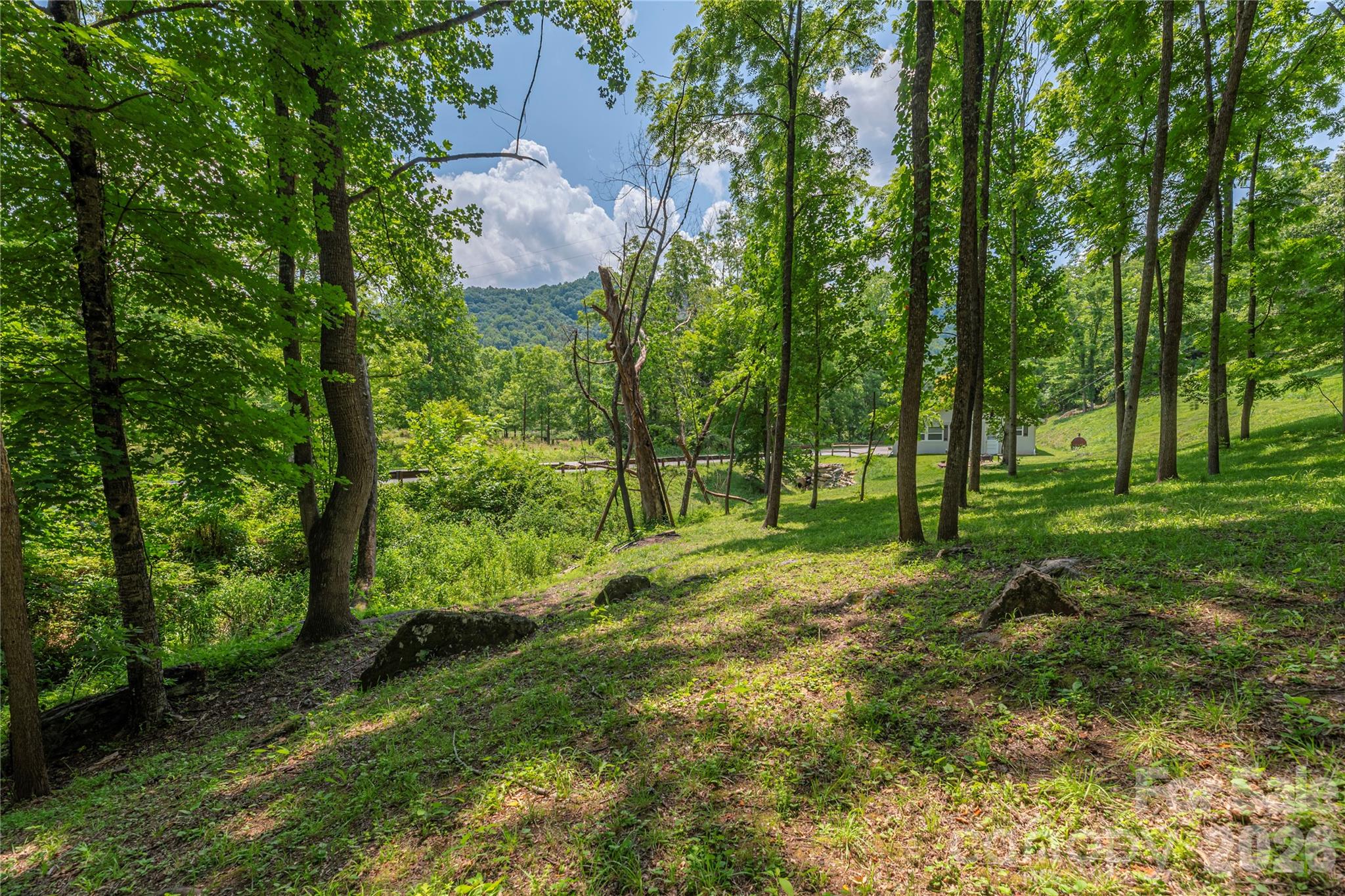 702 Love Joy Road Property Photo 35