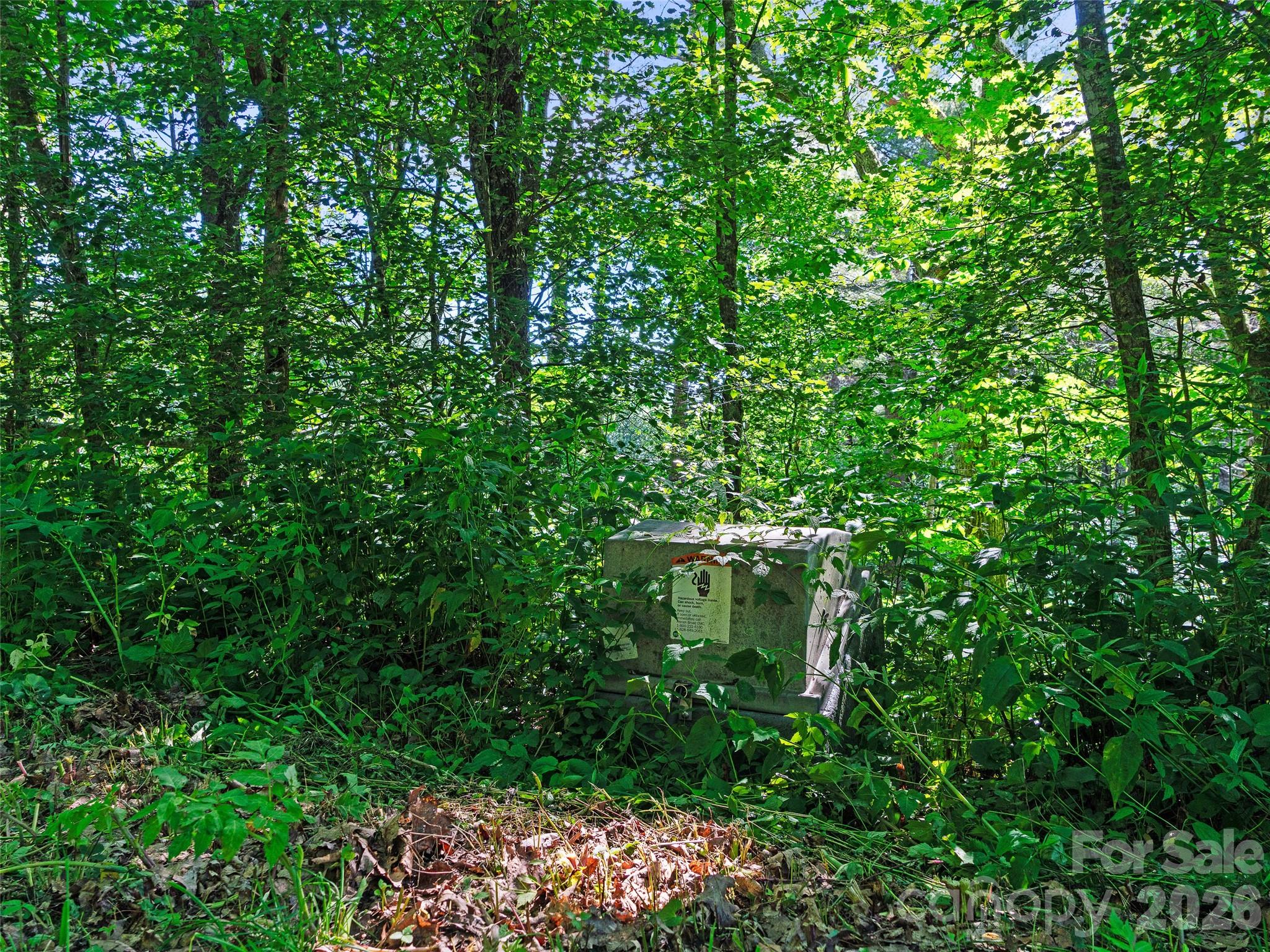 0 Ogle Meadows Road 5 Property Photo 20