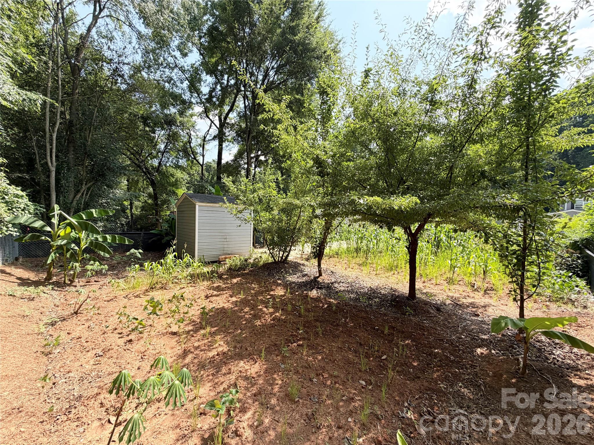 3125 Amay James Avenue Property Photo 35