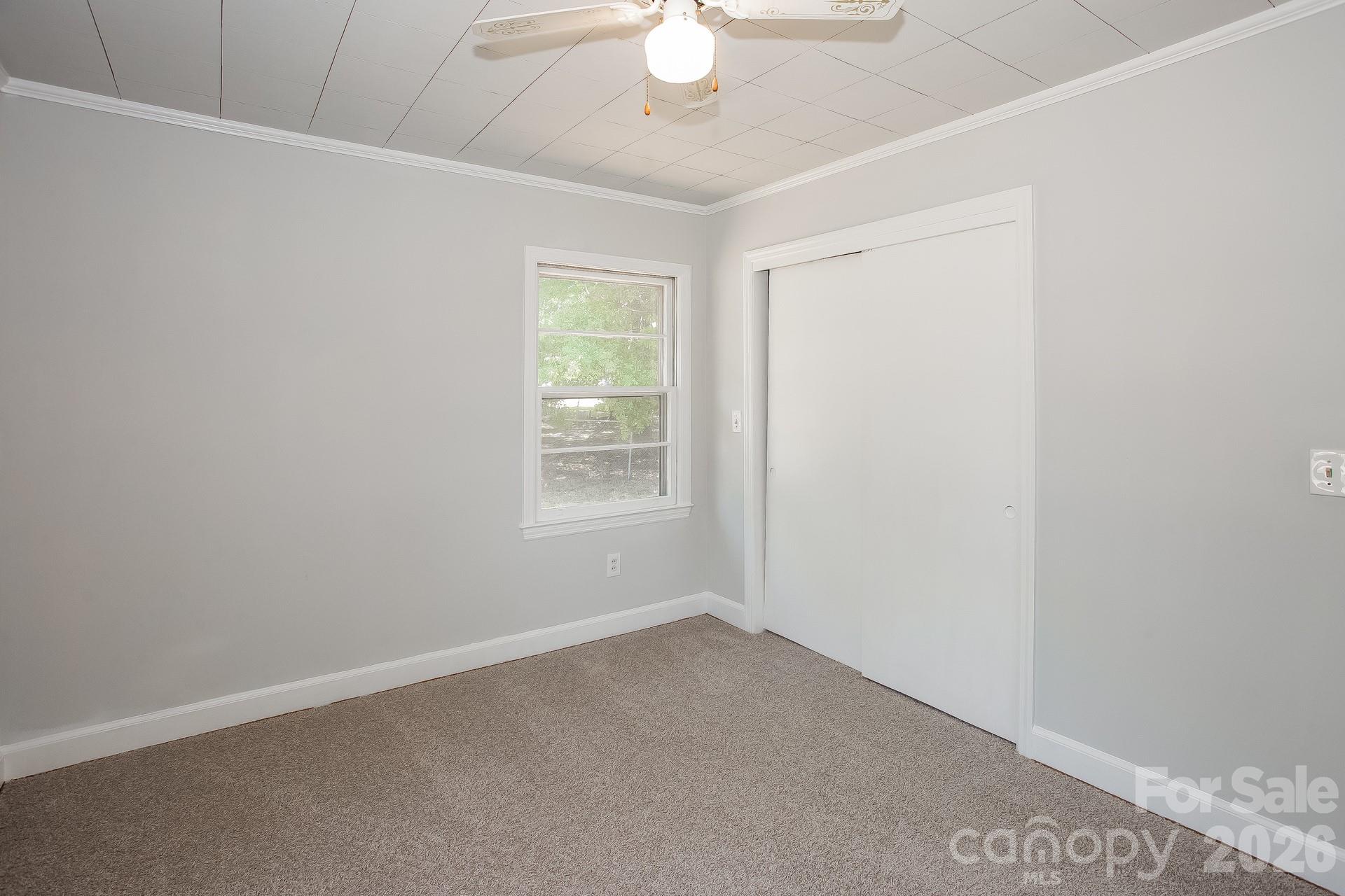113 Griggs Street Property Photo 18