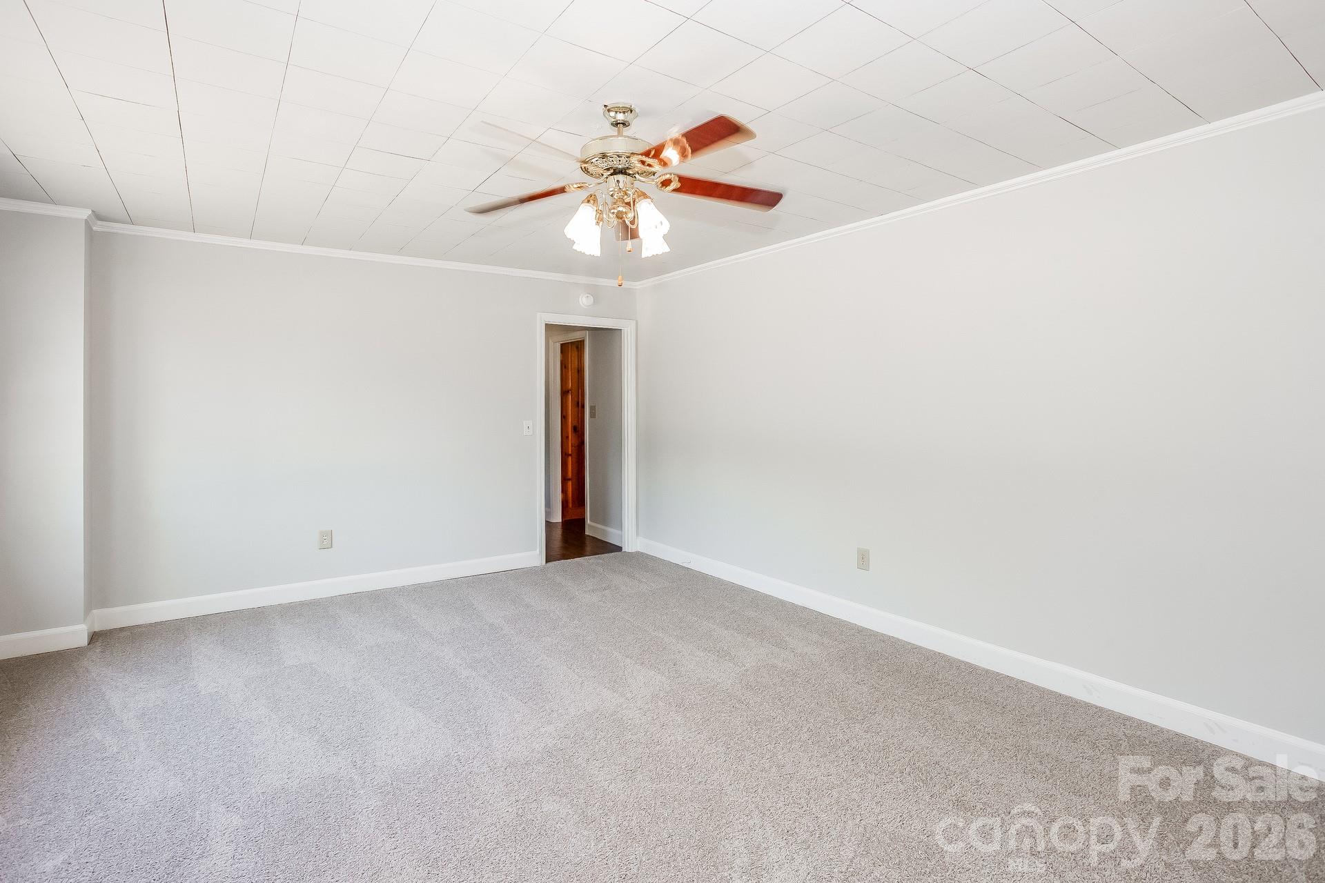 113 Griggs Street Property Photo 19