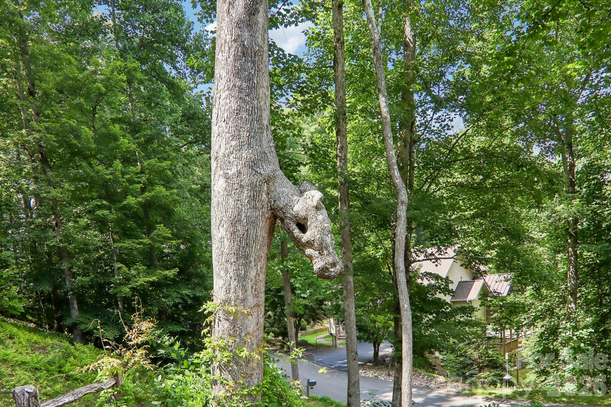 24 Caroline Lane Property Photo 28