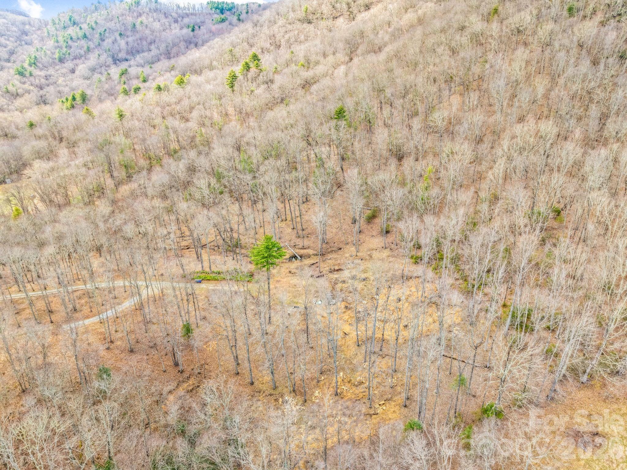 527 North Robinson Creek Road Property Photo 6