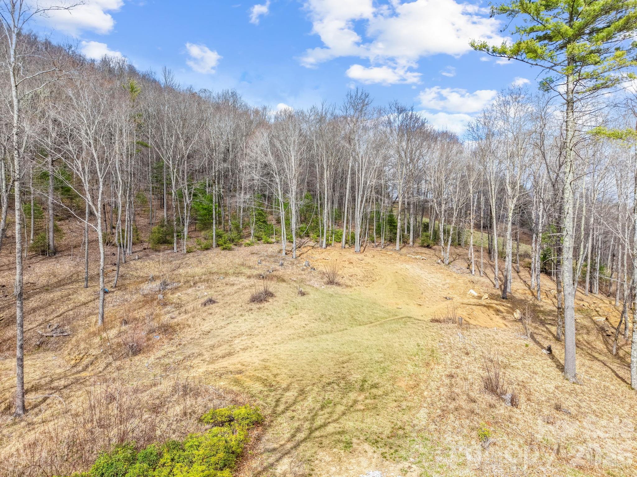 527 North Robinson Creek Road Property Photo 7