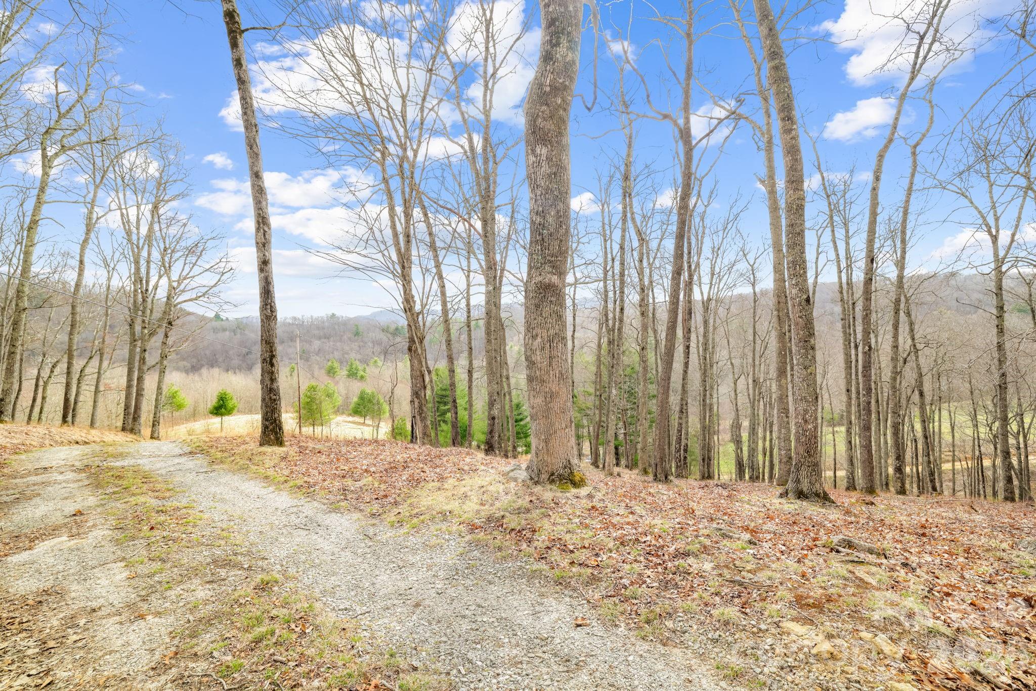 527 North Robinson Creek Road Property Photo 15