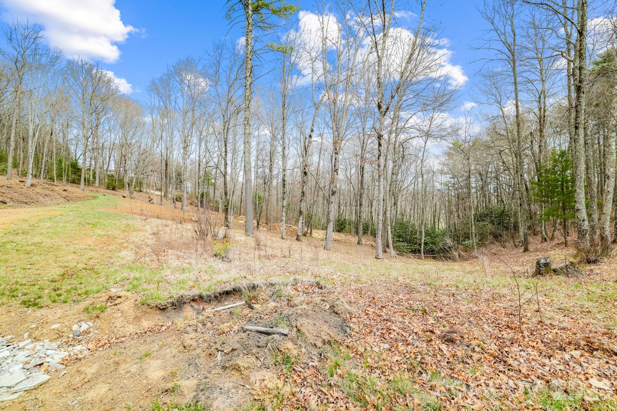 527 North Robinson Creek Road Property Photo 25
