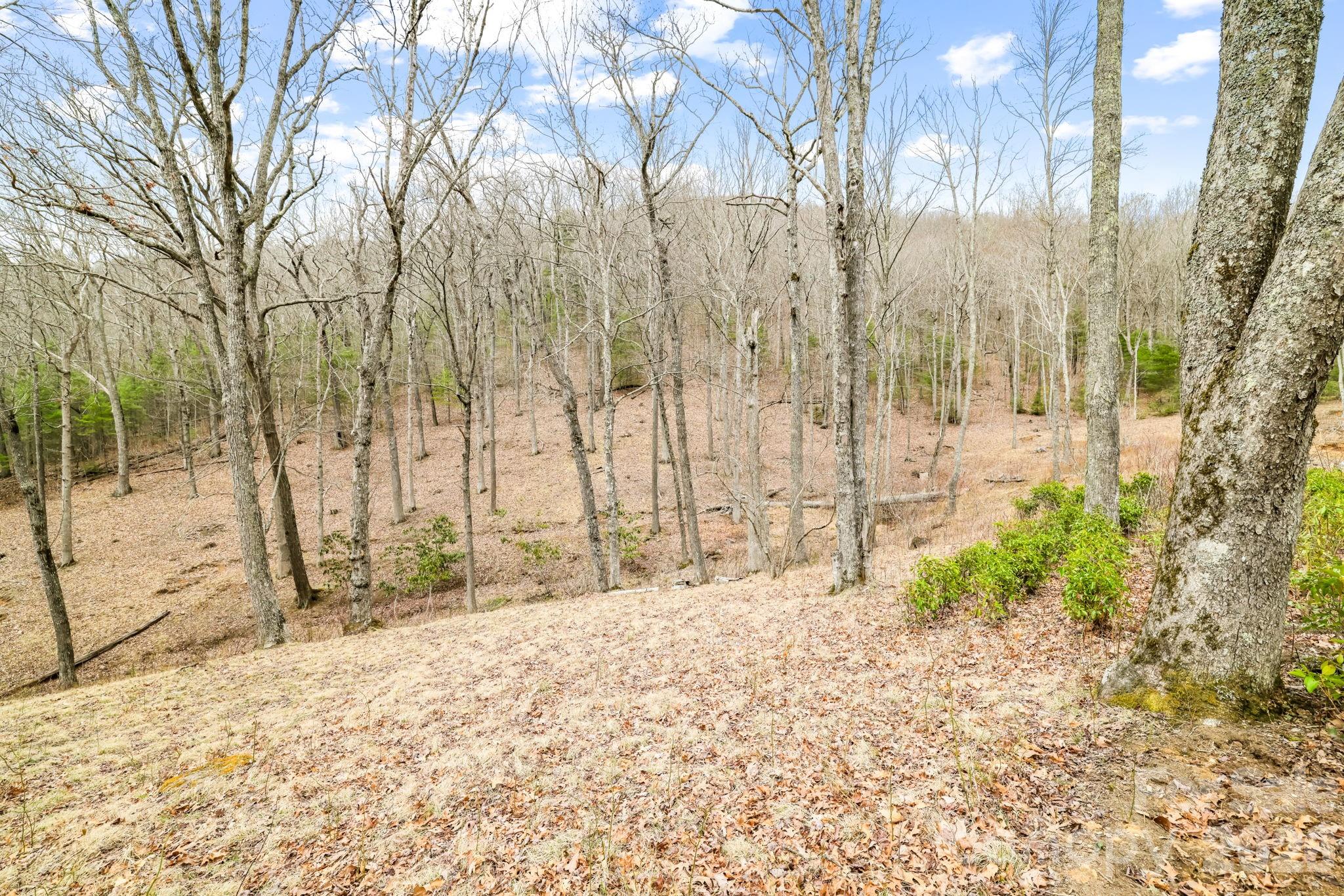 527 North Robinson Creek Road Property Photo 27