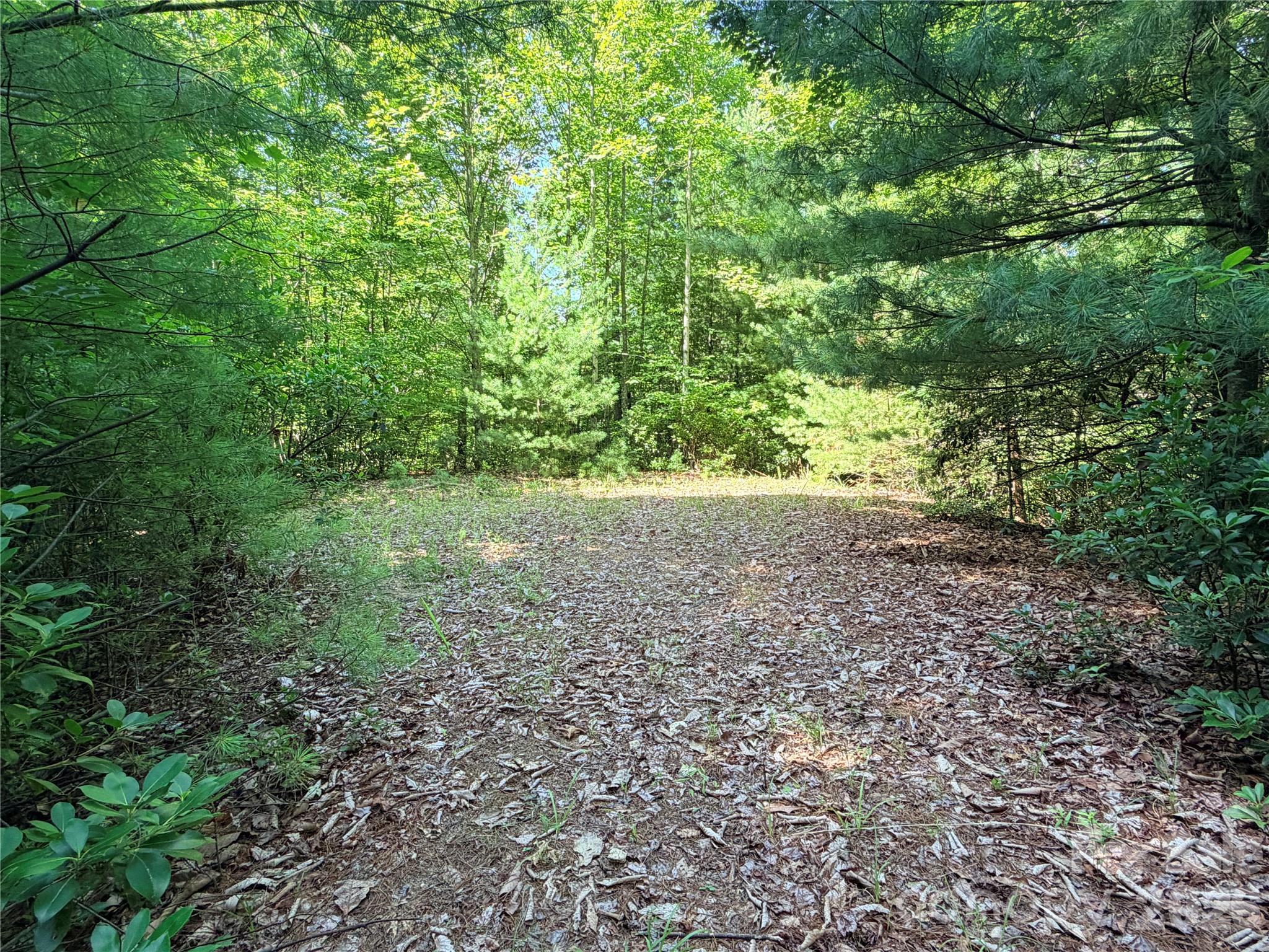 Tbd Blue Rock Road 171 & 172b Property Photo 2