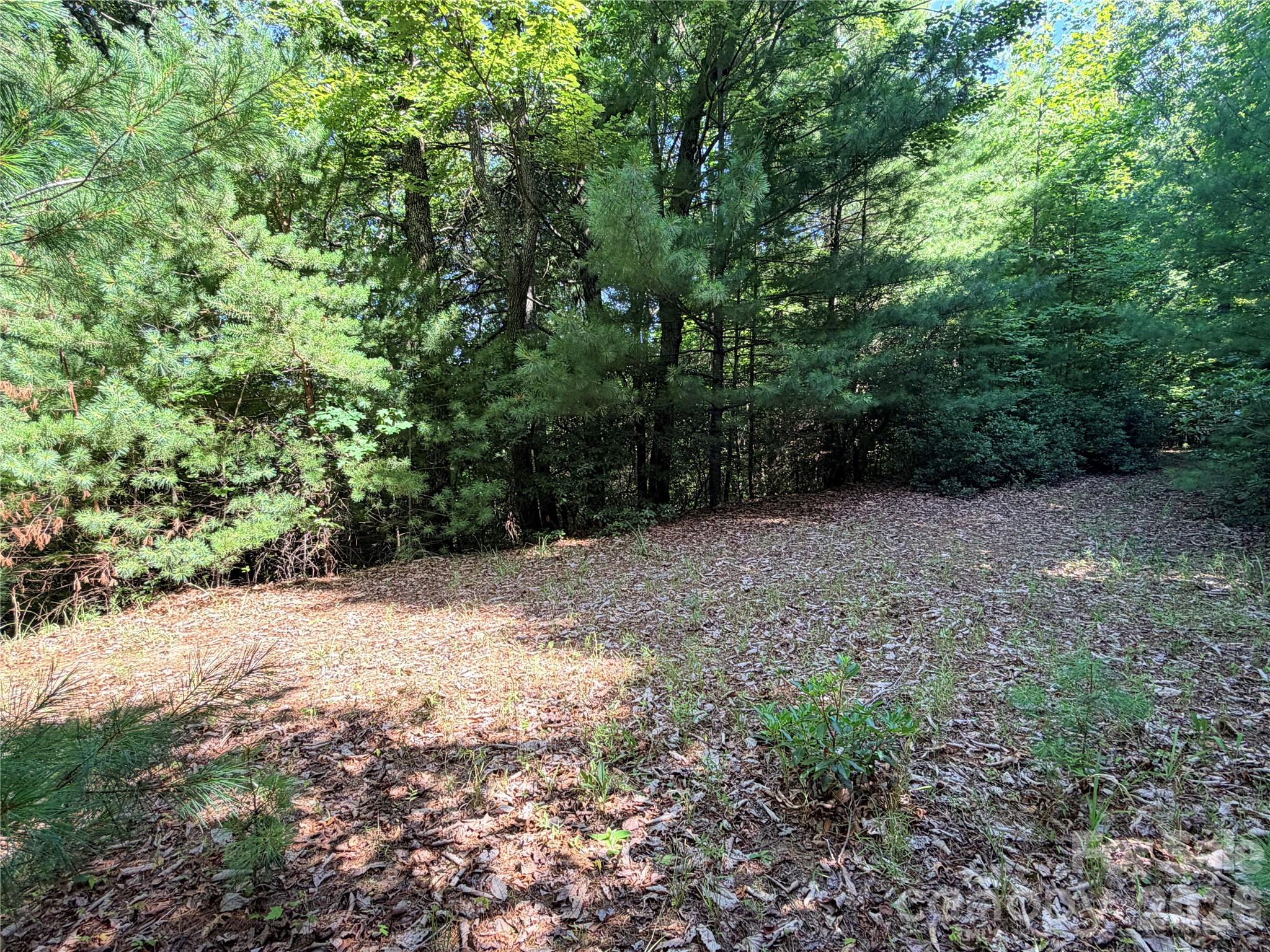 Tbd Blue Rock Road 171 & 172b Property Photo 8