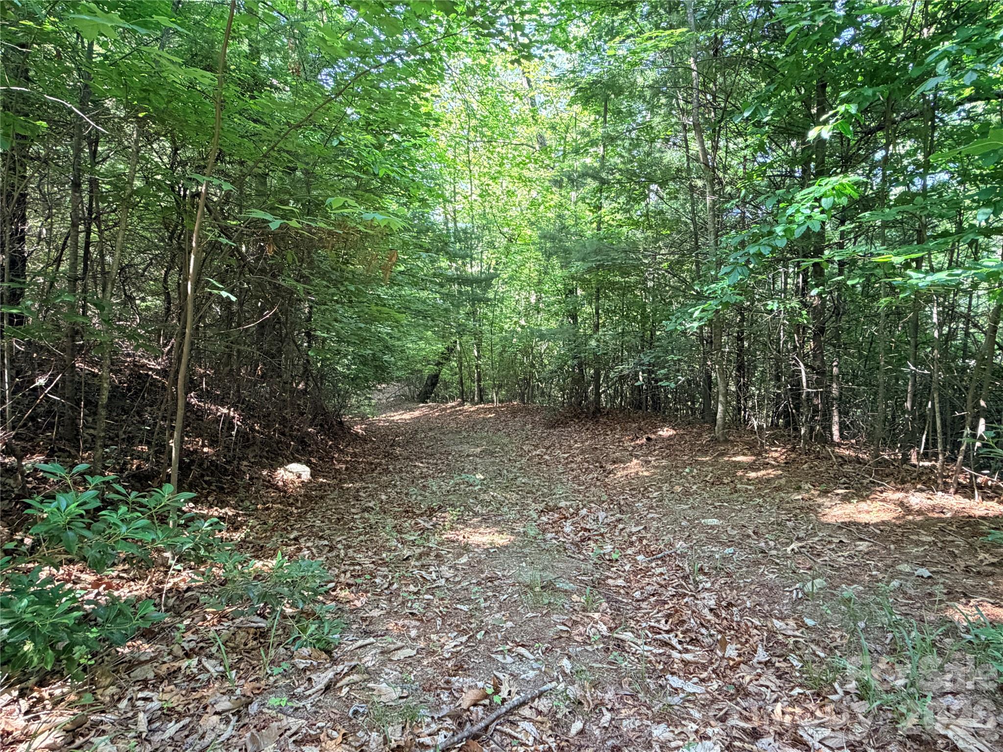 Tbd Blue Rock Road 171 & 172b Property Photo 9