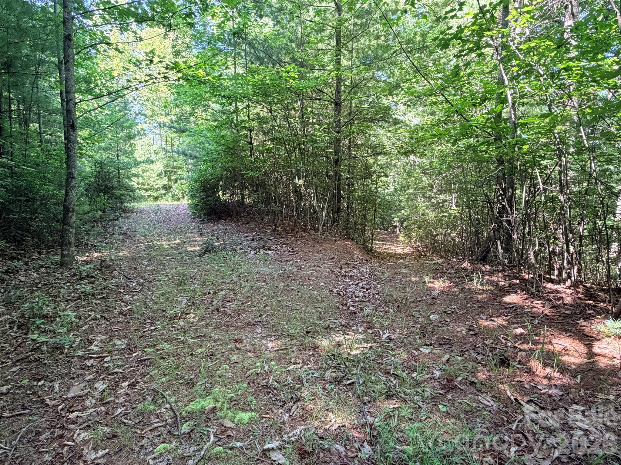 Tbd Blue Rock Road 171 & 172b Property Photo 10