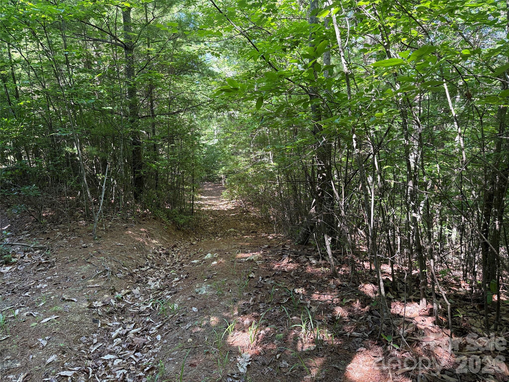 Tbd Blue Rock Road 171 & 172b Property Photo 11
