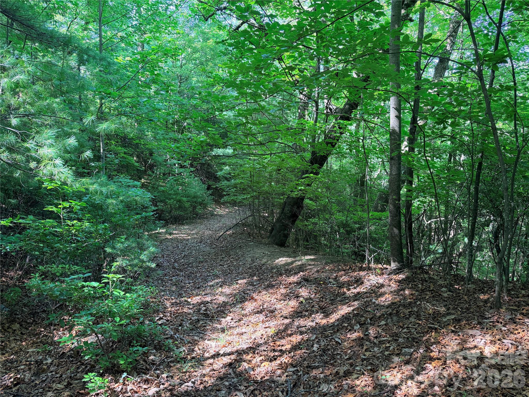 Tbd Blue Rock Road 171 & 172b Property Photo 12