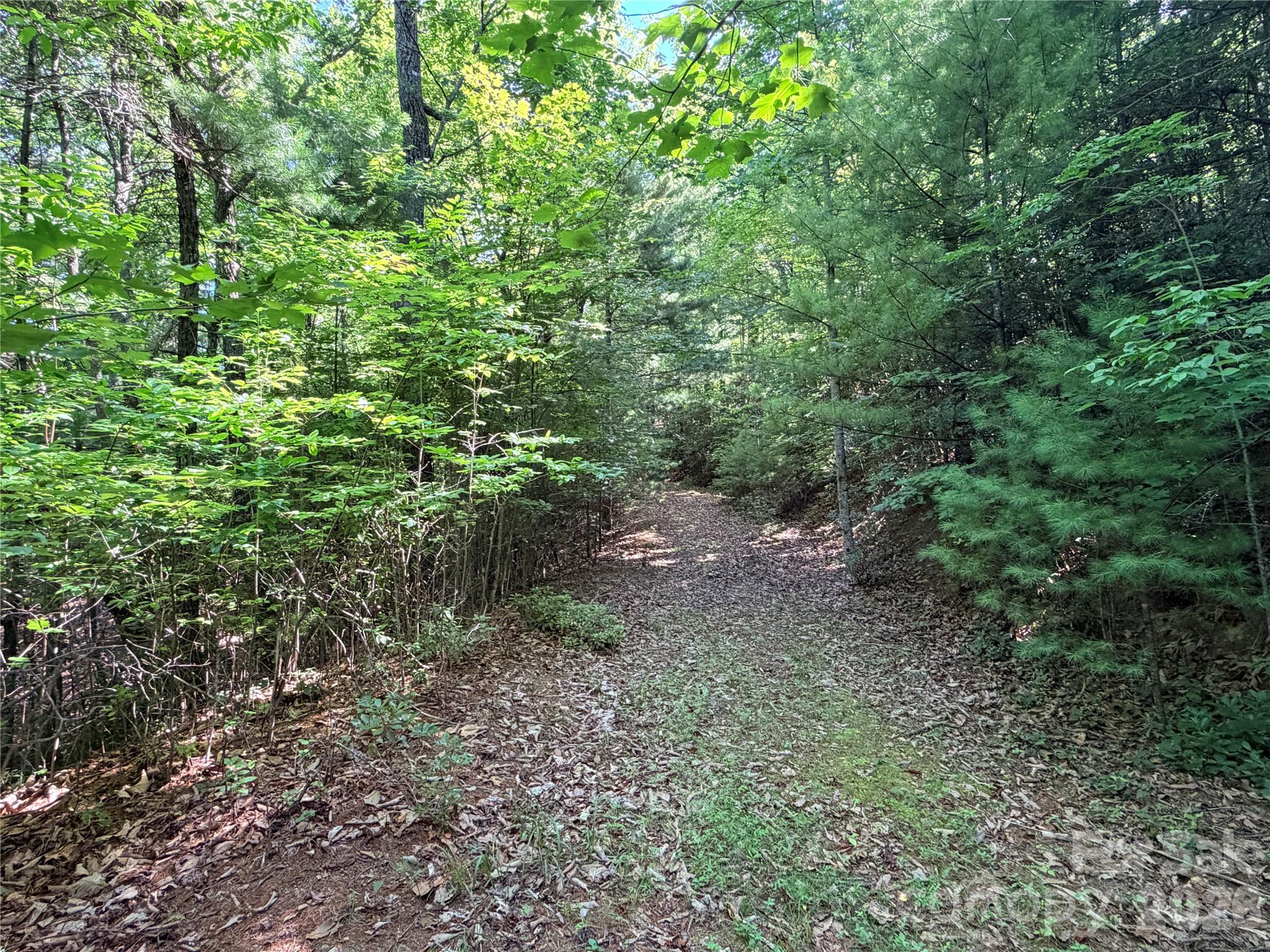 Tbd Blue Rock Road 171 & 172b Property Photo 13