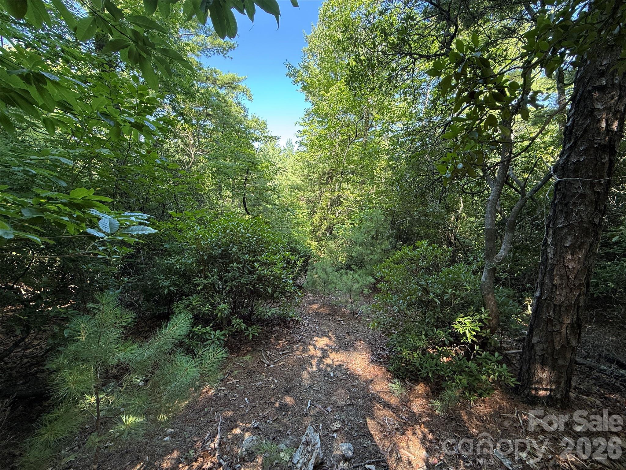 Tbd Blue Rock Road 171 & 172b Property Photo 15