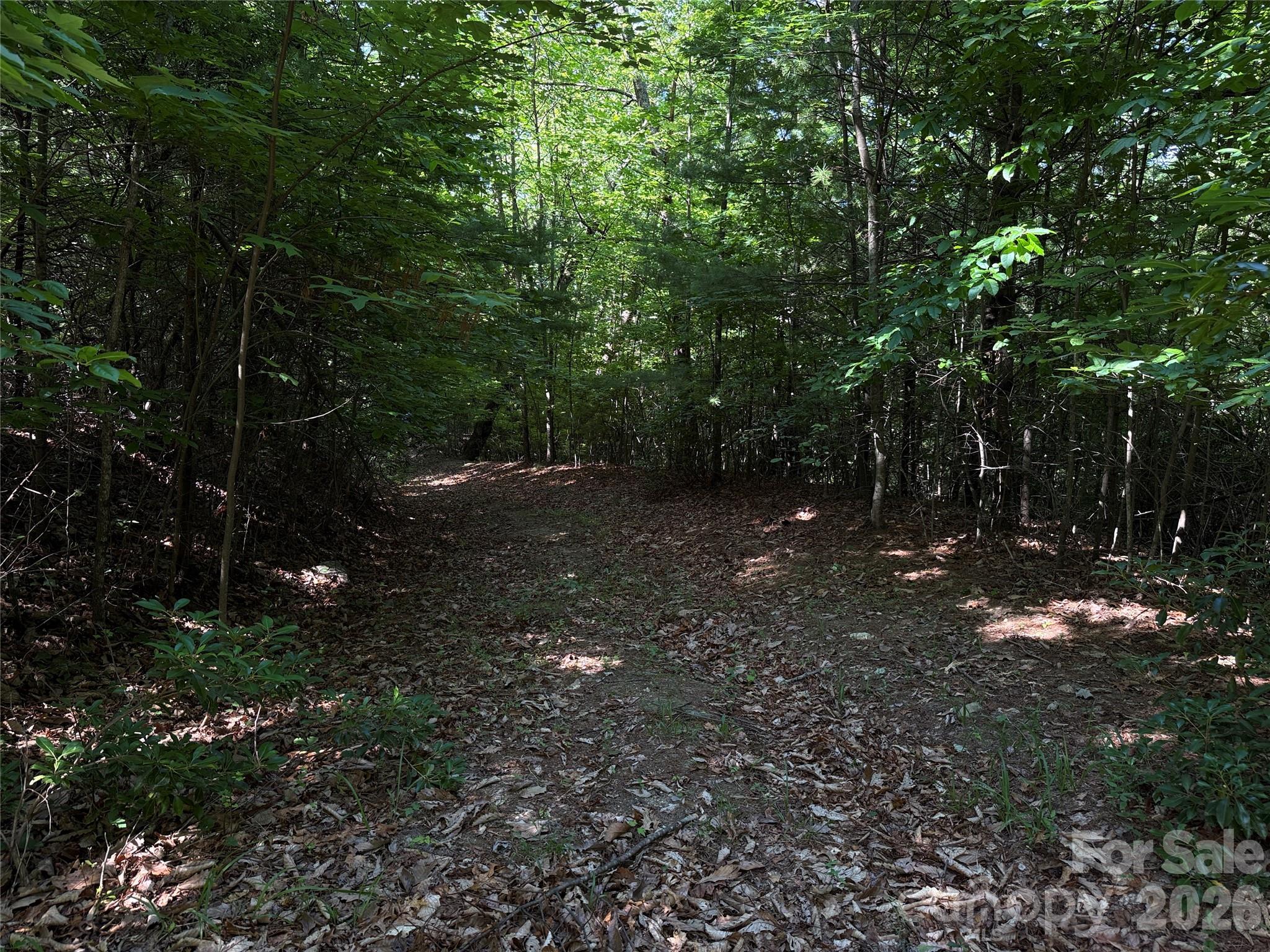 Tbd Blue Rock Road 171 & 172b Property Photo 17