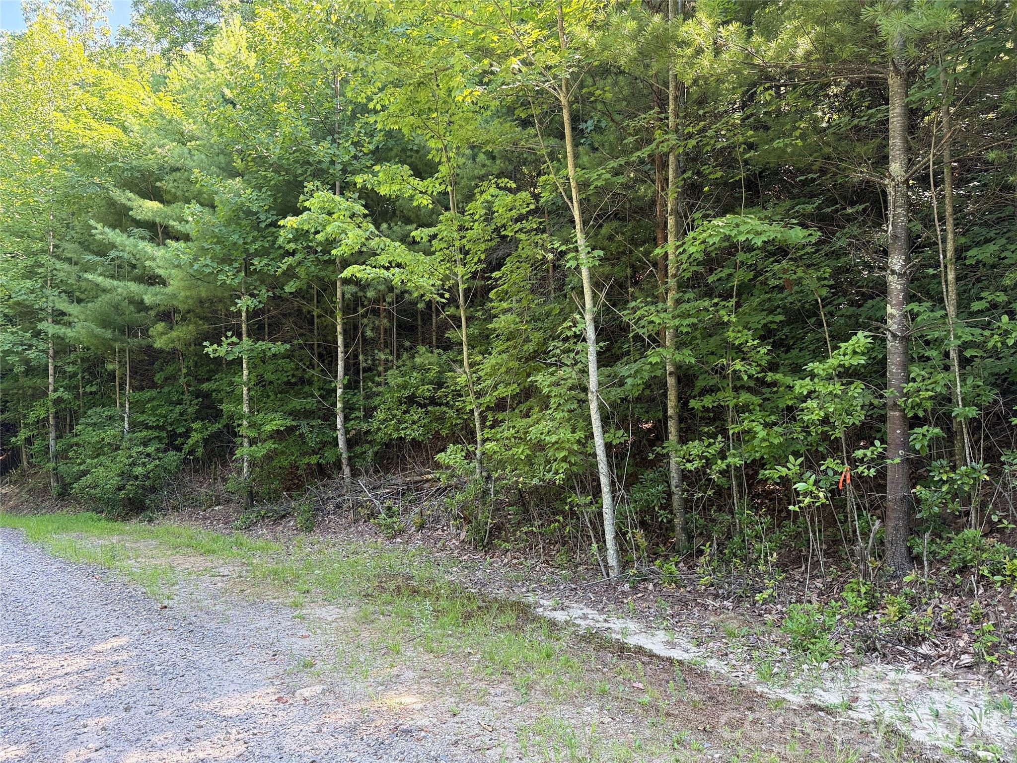 Tbd Blue Rock Road 171 & 172b Property Photo 21