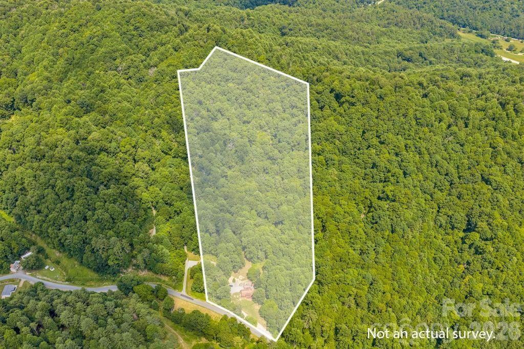 488 Wards Branch Road Property Photo 2