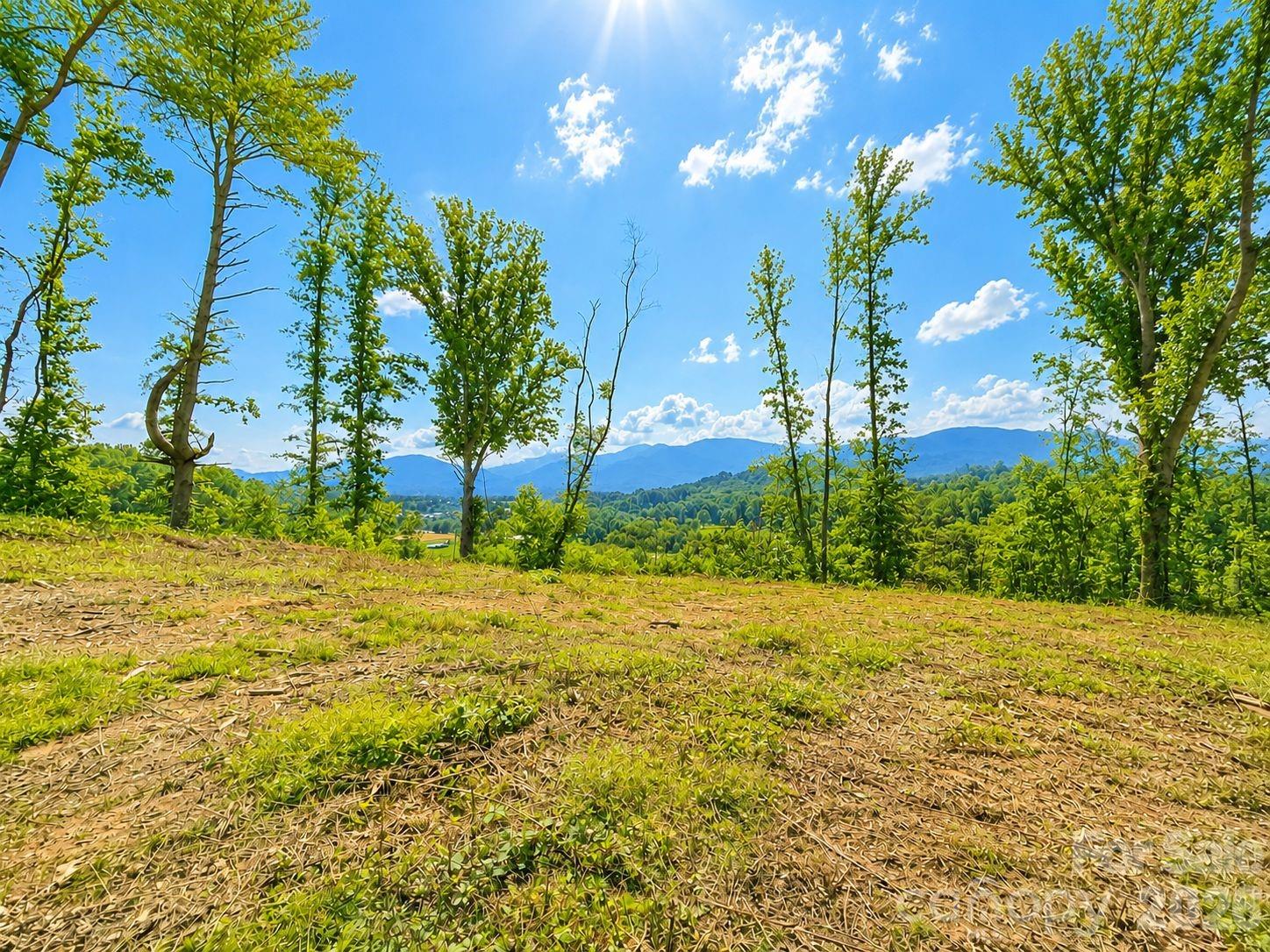 271 Sorrells Cove Road C2 Property Photo 6