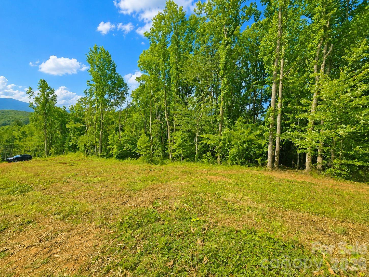 271 Sorrells Cove Road C2 Property Photo 12