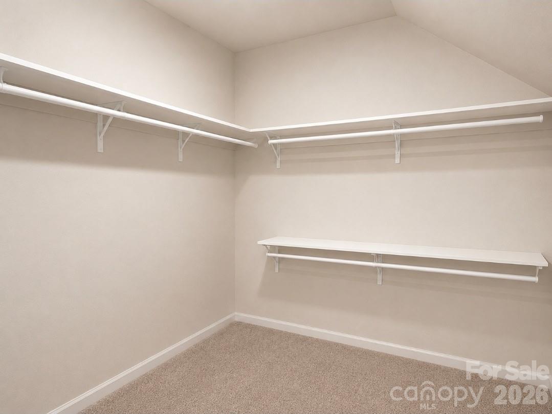 163 Abersham Drive Property Photo 19