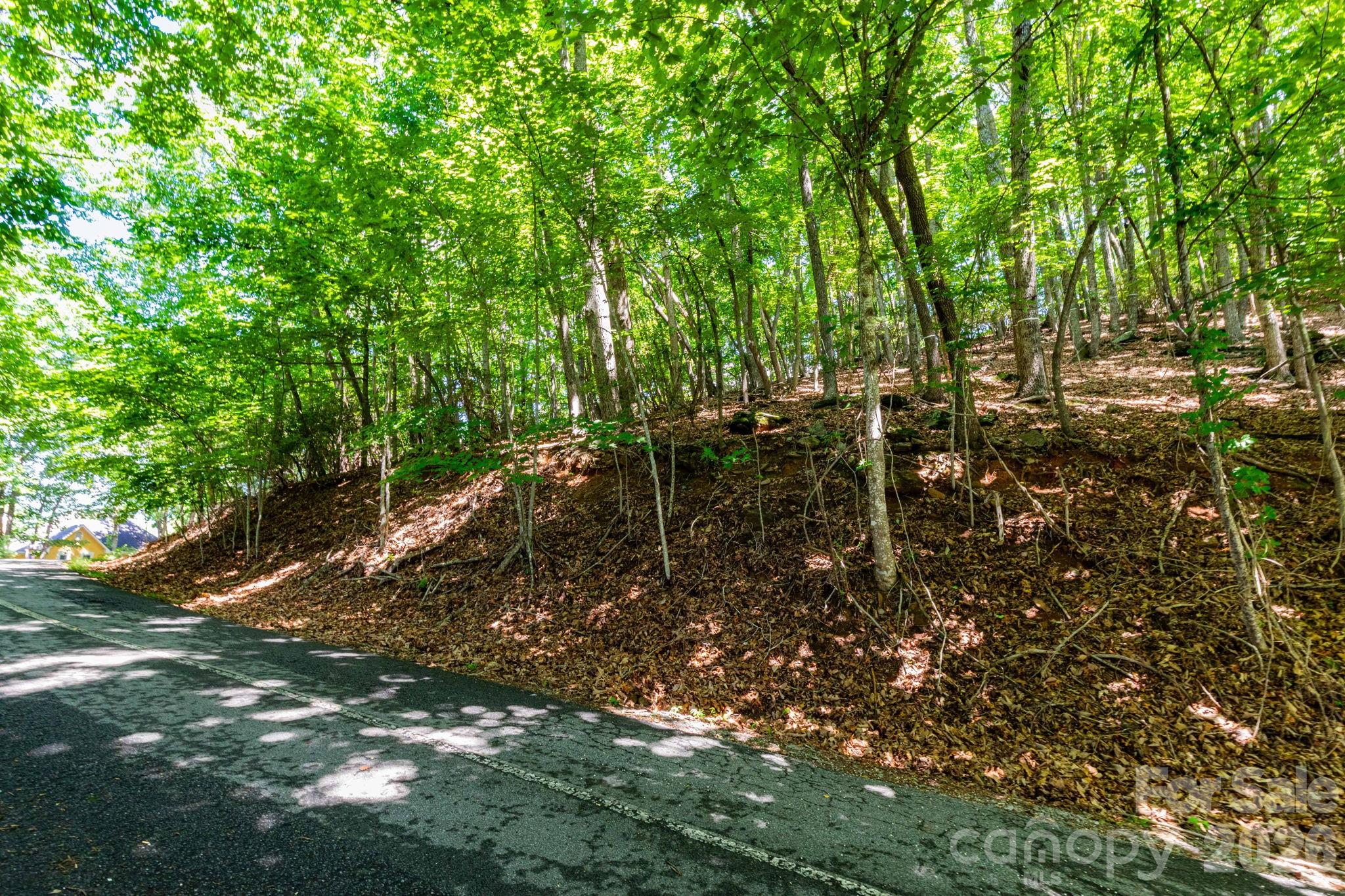 50 Cedar Drive Property Photo 3