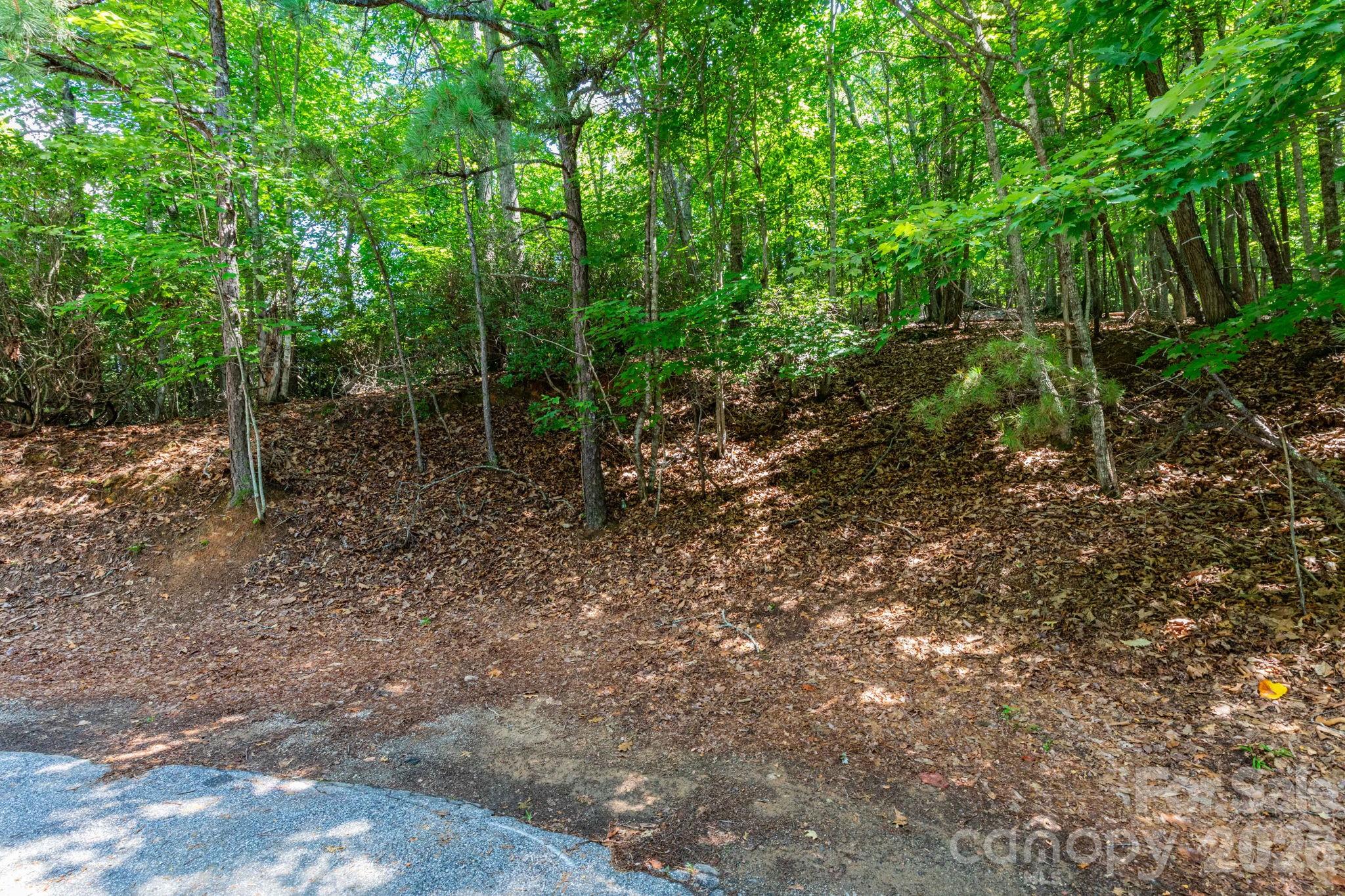 50 Cedar Drive Property Photo 6