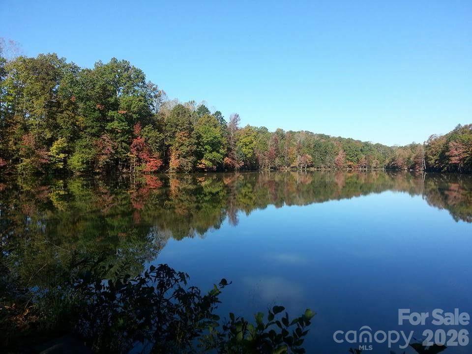 3029 Oliver Stanley Trail Property Photo 47
