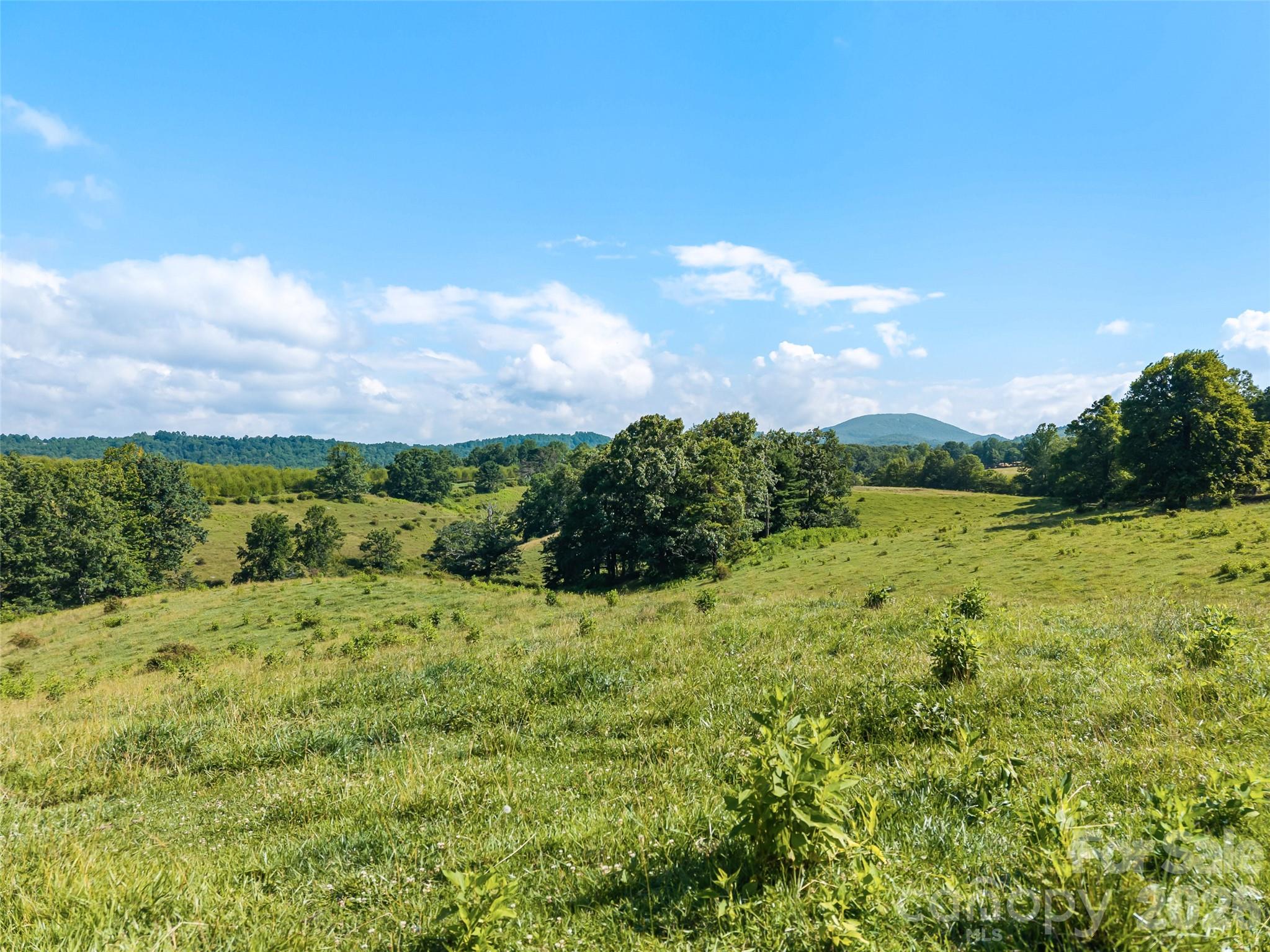 0 Summer Road 4 Property Photo 15