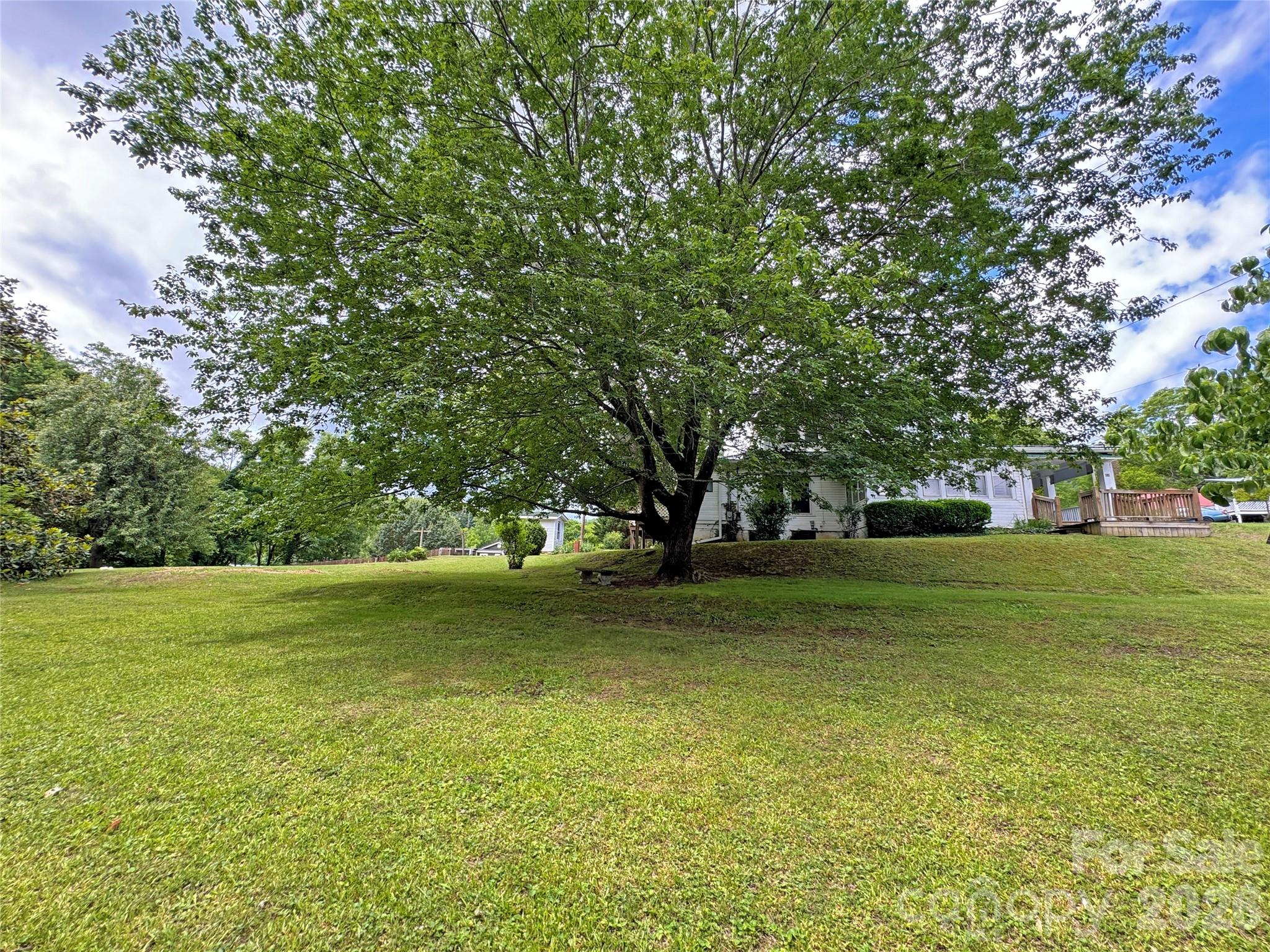 82 Hill Street Property Photo 40