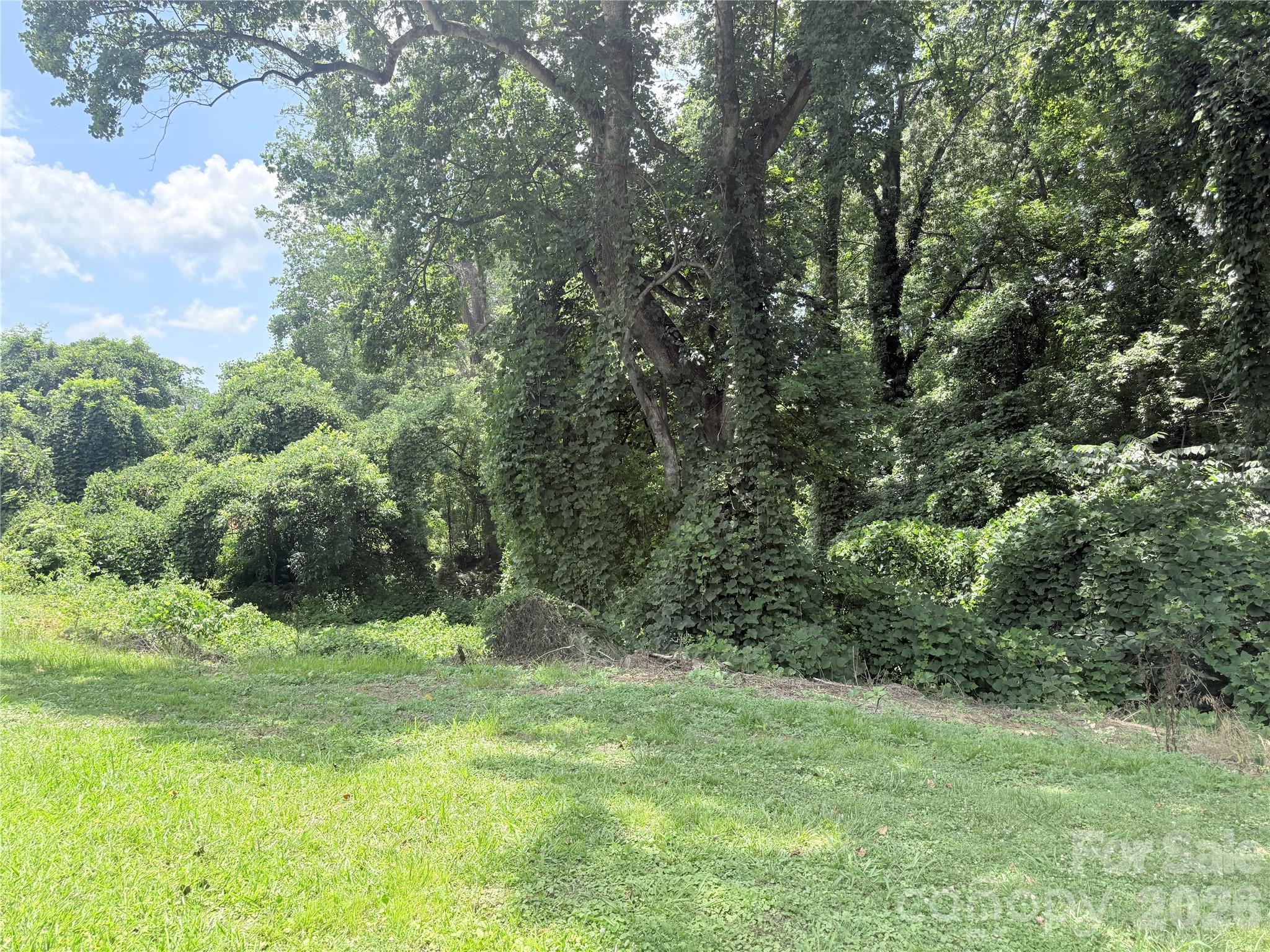 409 Redding Street Property Photo 19