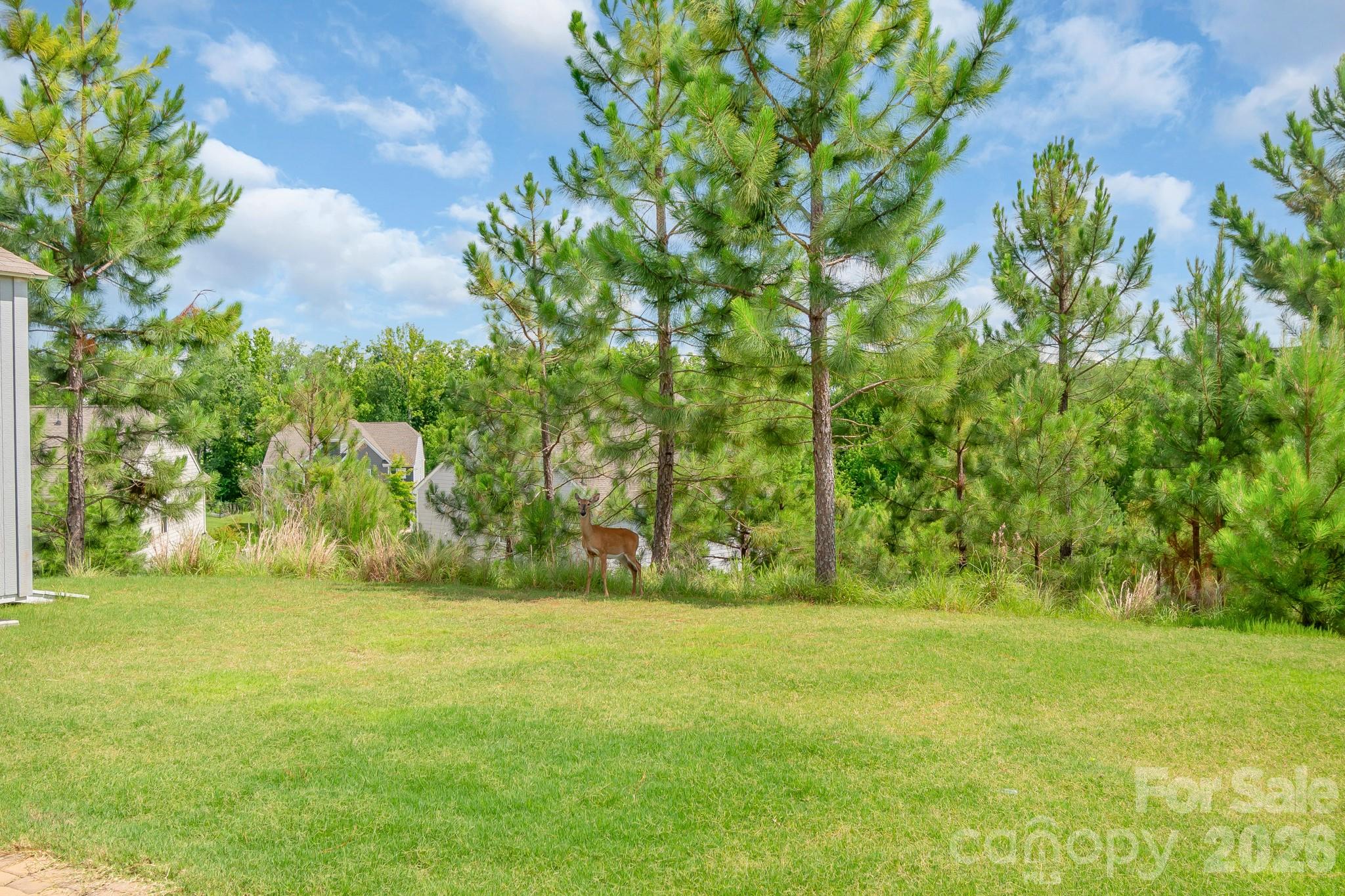 17713 Yarwill Court Property Photo 8