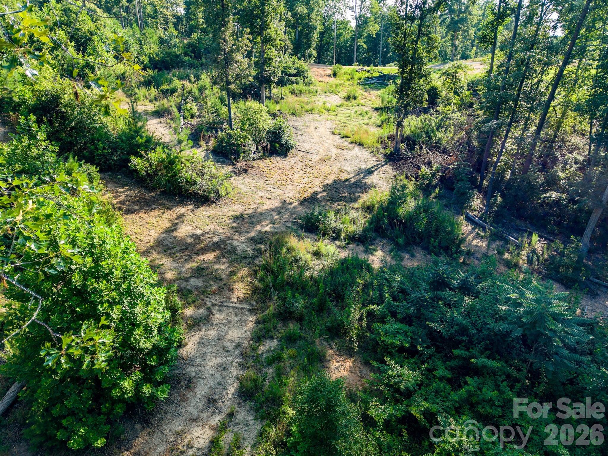 443 Polk County Line Road Property Photo 8