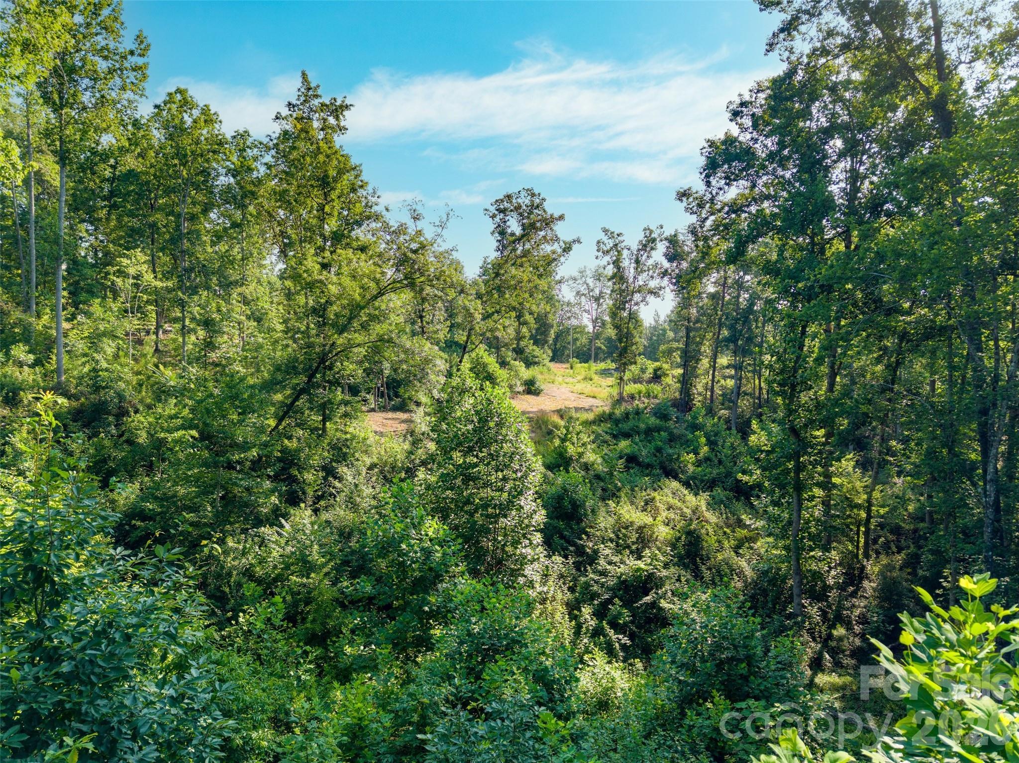 443 Polk County Line Road Property Photo 9