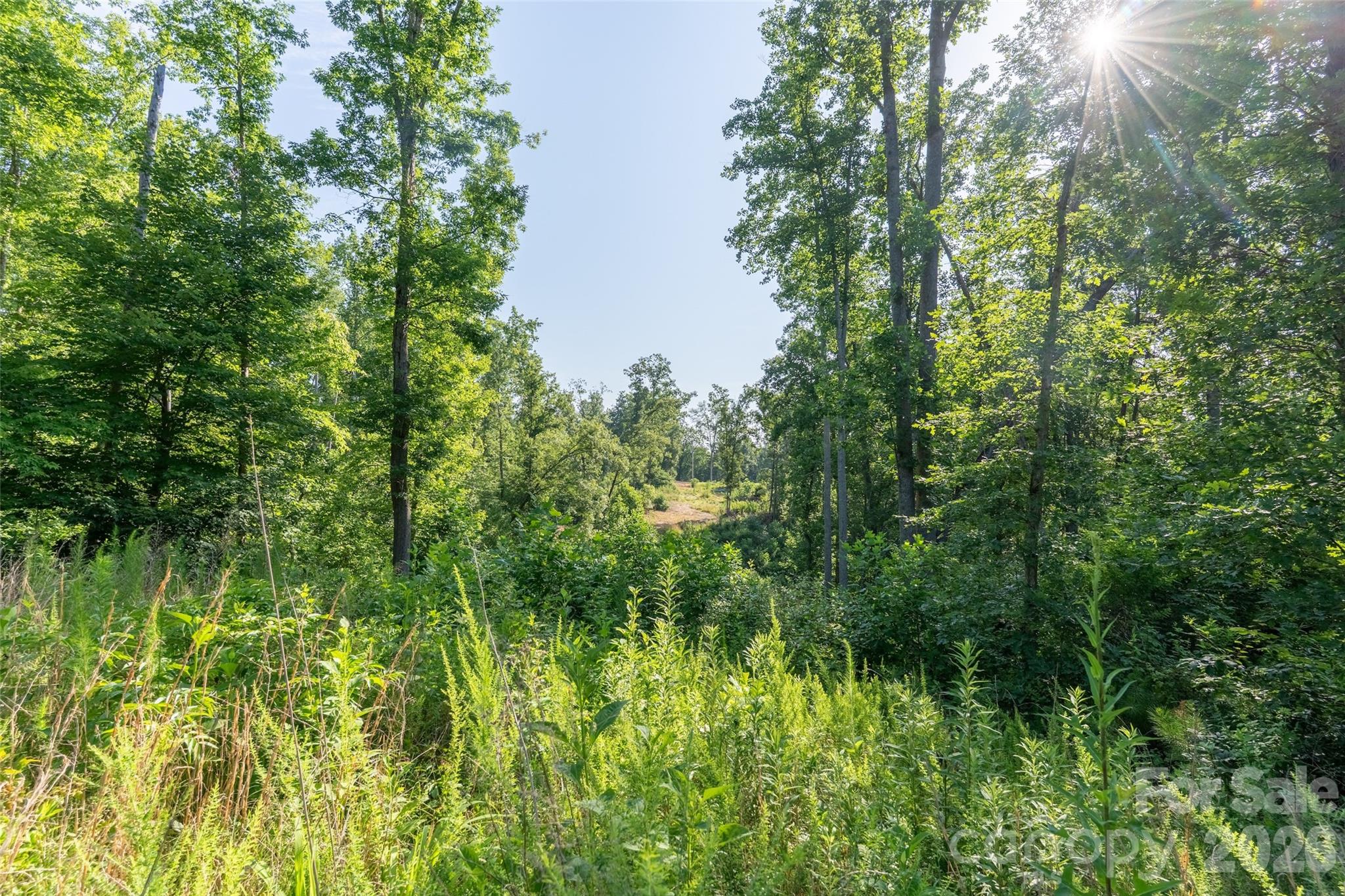 443 Polk County Line Road Property Photo 10