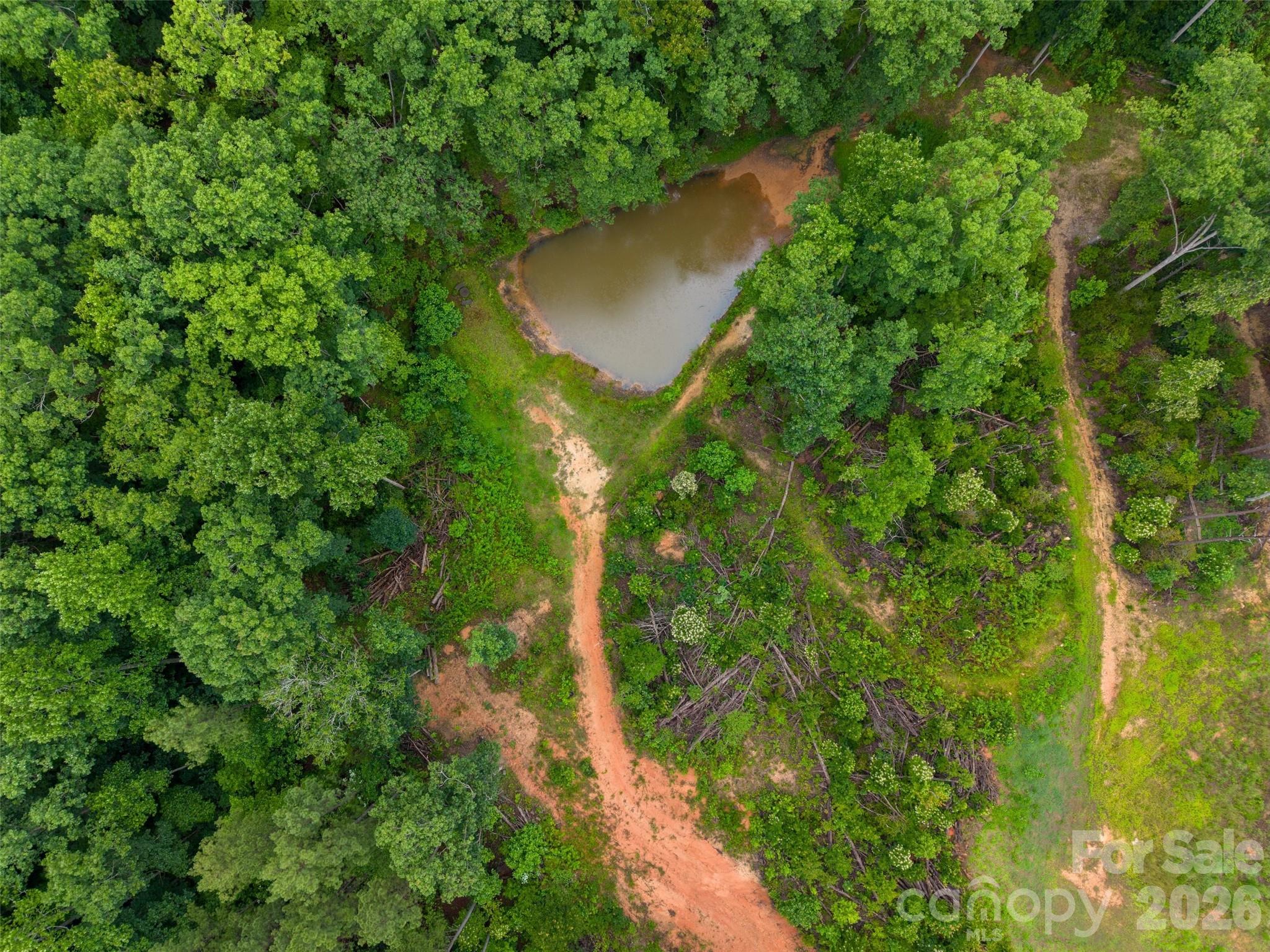 443 Polk County Line Road Property Photo 25