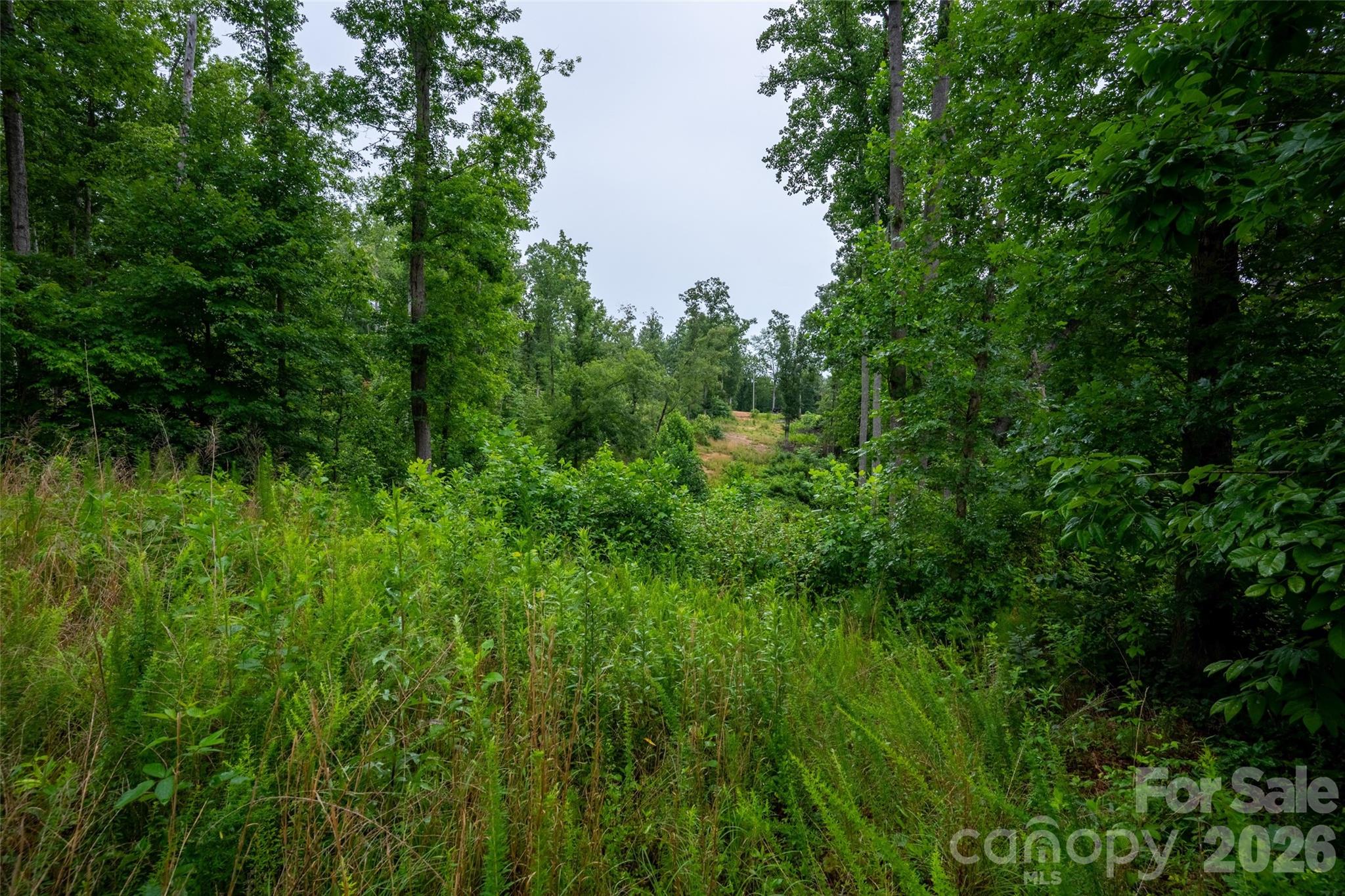 443 Polk County Line Road Property Photo 28