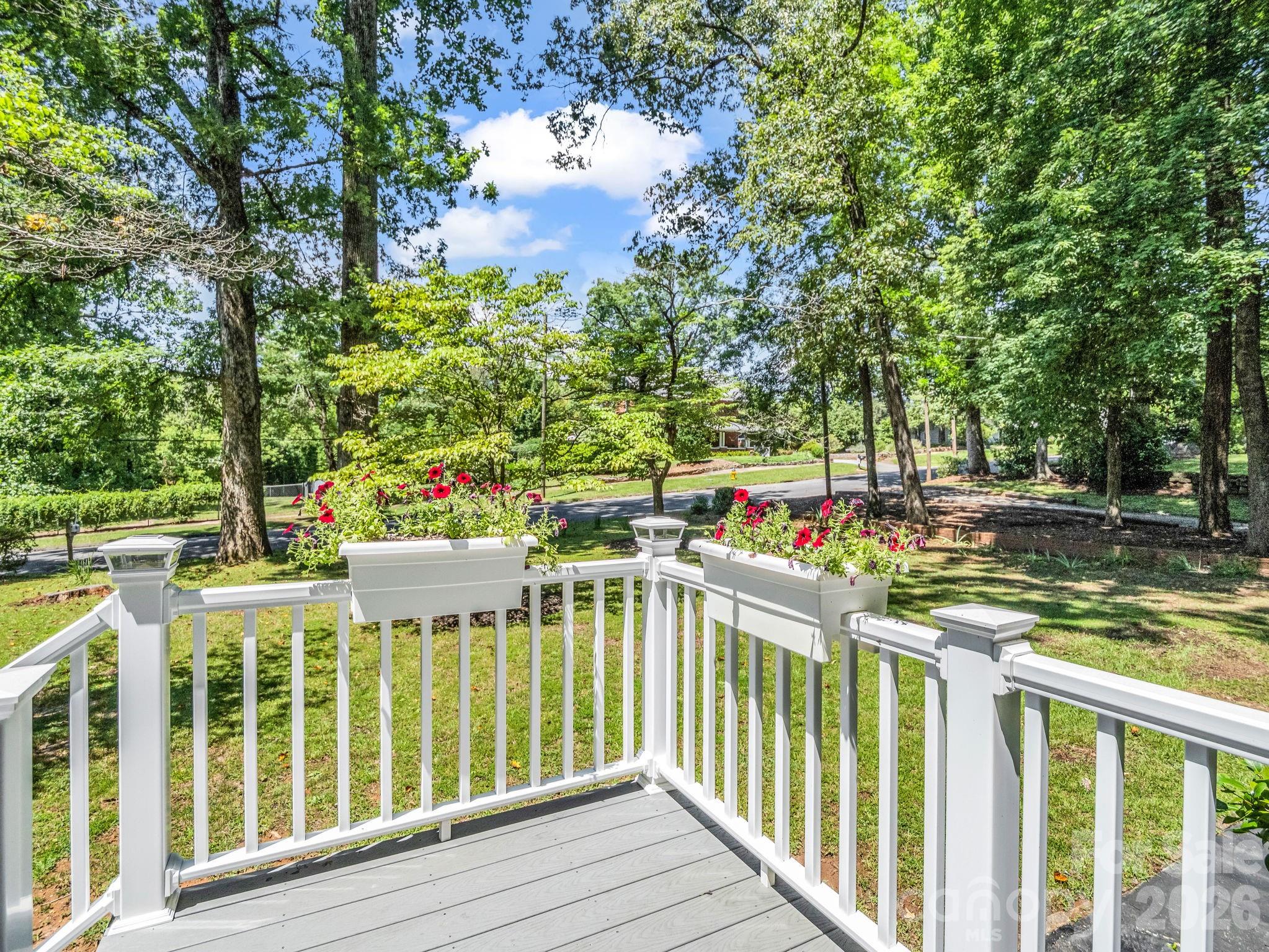 117 Whitney Avenue Property Photo 33